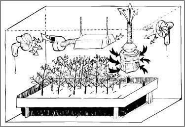 What’s that smell? Odor control in the Grow Room