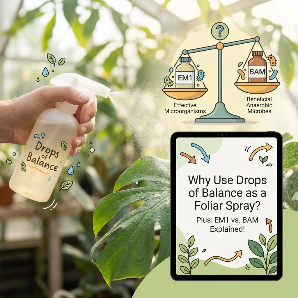 Why Use Drops of Balance as a Foliar Spray? Plus: EM1 vs. BAM Explained!