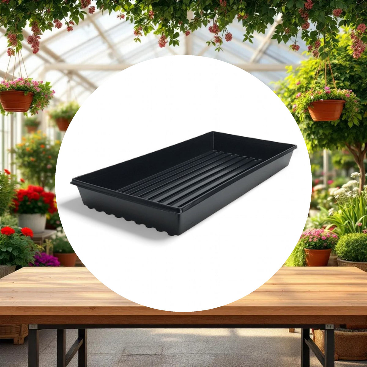 Standard Propagation Tray w/o Drain Holes (10in x 20in) - Image 3