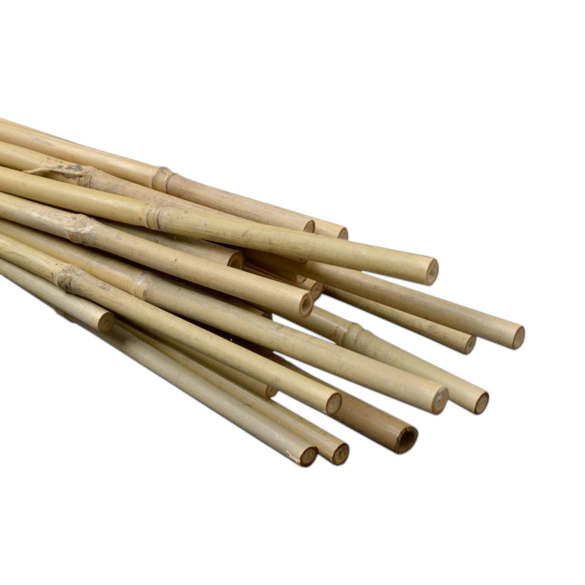 Natural Bamboo Stakes 6ft 12-14mm (100pcs/Bale)