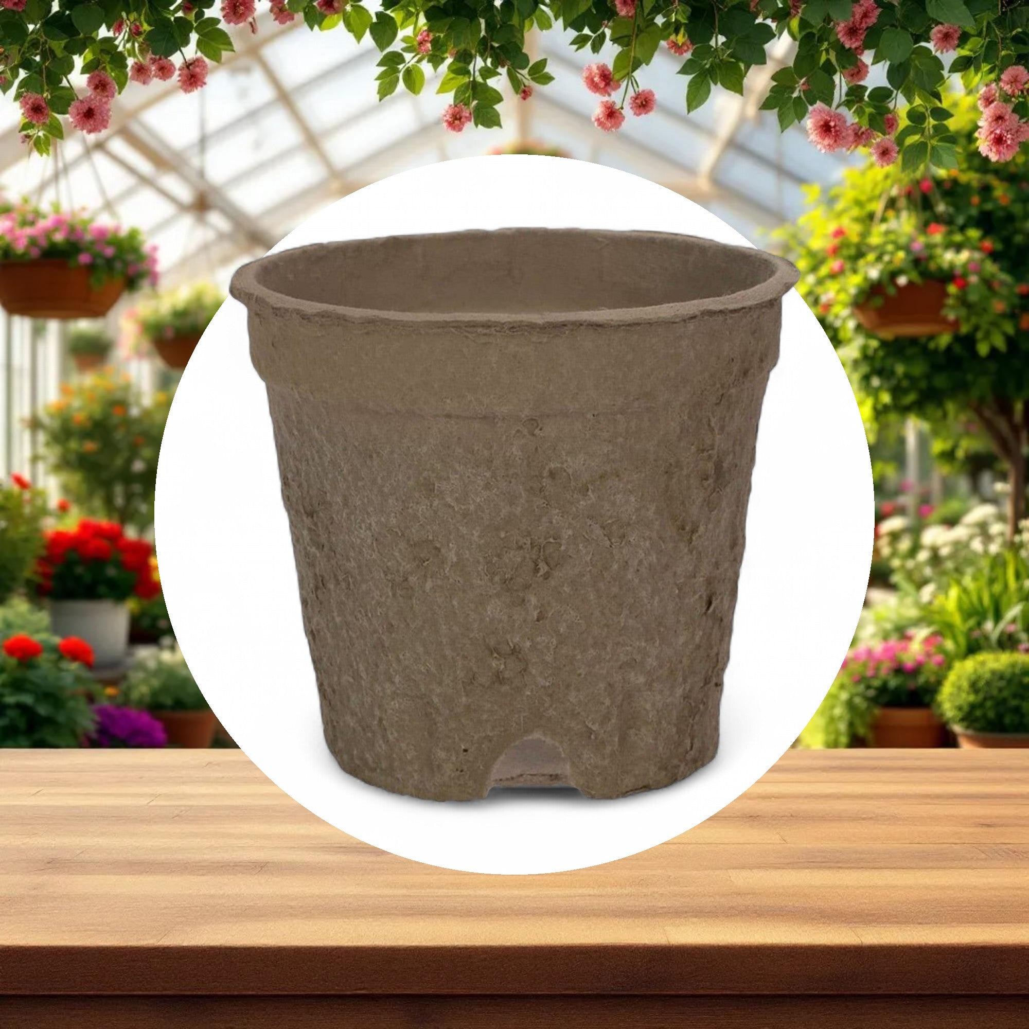 3.50" STD EcoGrow Round Pot (720 per case) - Image 2