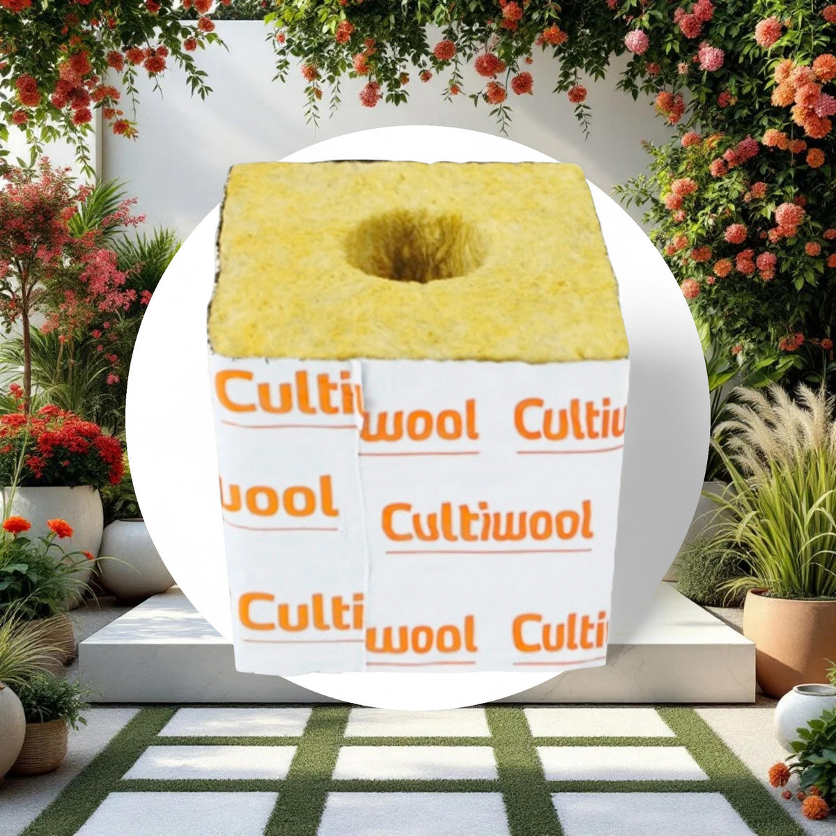 Cultiwool 4" x 4" x 4" Block (144 Blocks/Case) - Image 2