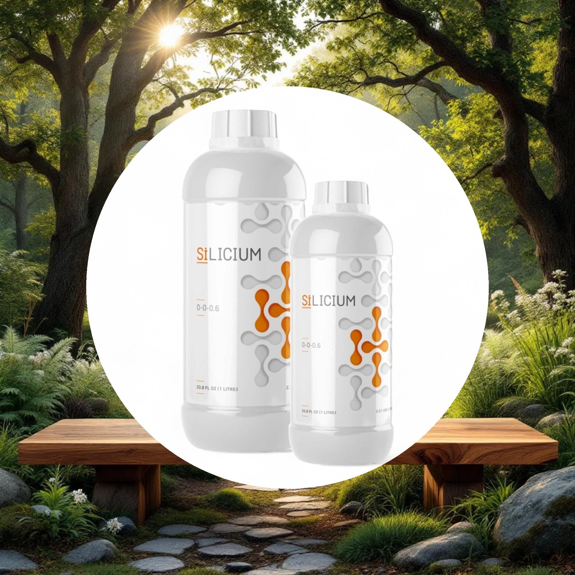 Silicium 500 ML - Image 5