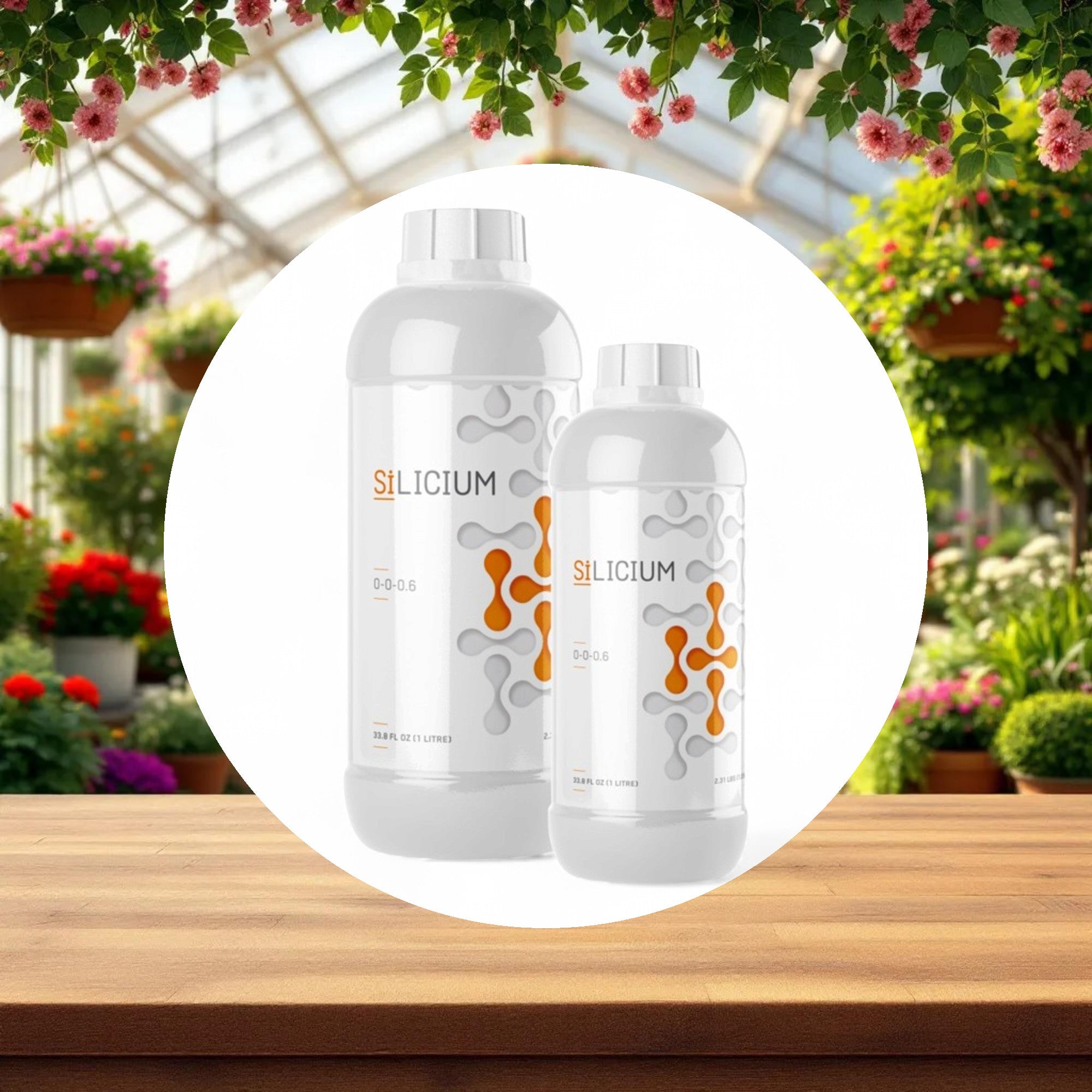 Silicium 500 ML - Image 3