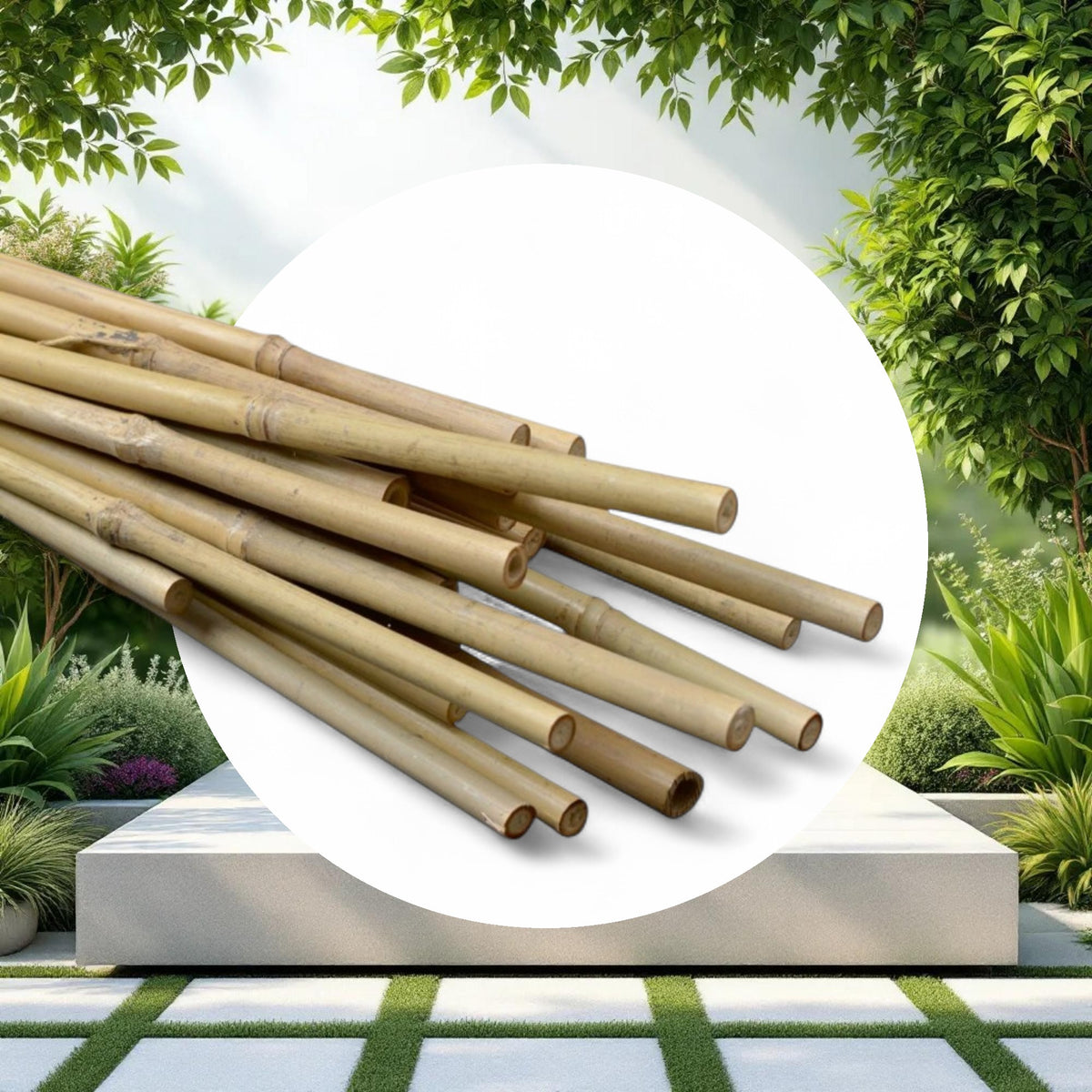 Natural Bamboo Stakes 6ft 12-14mm (200pcs/Bale) - Image 2