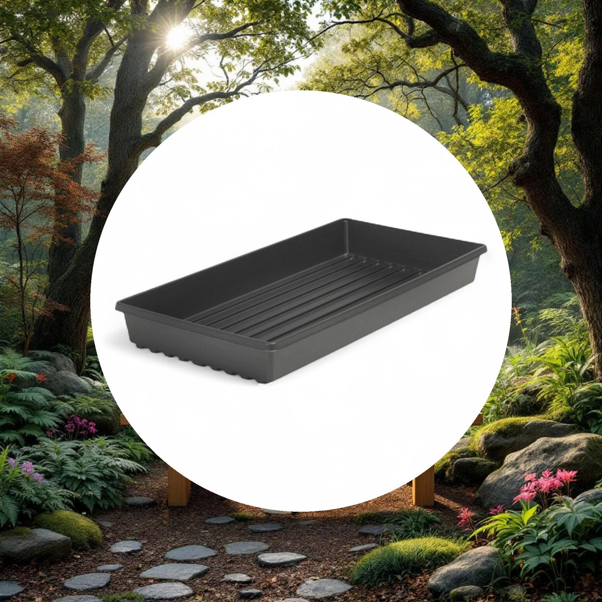 Premium Propagation Tray w/o Drain Holes USA (10in x 20in) - Image 5