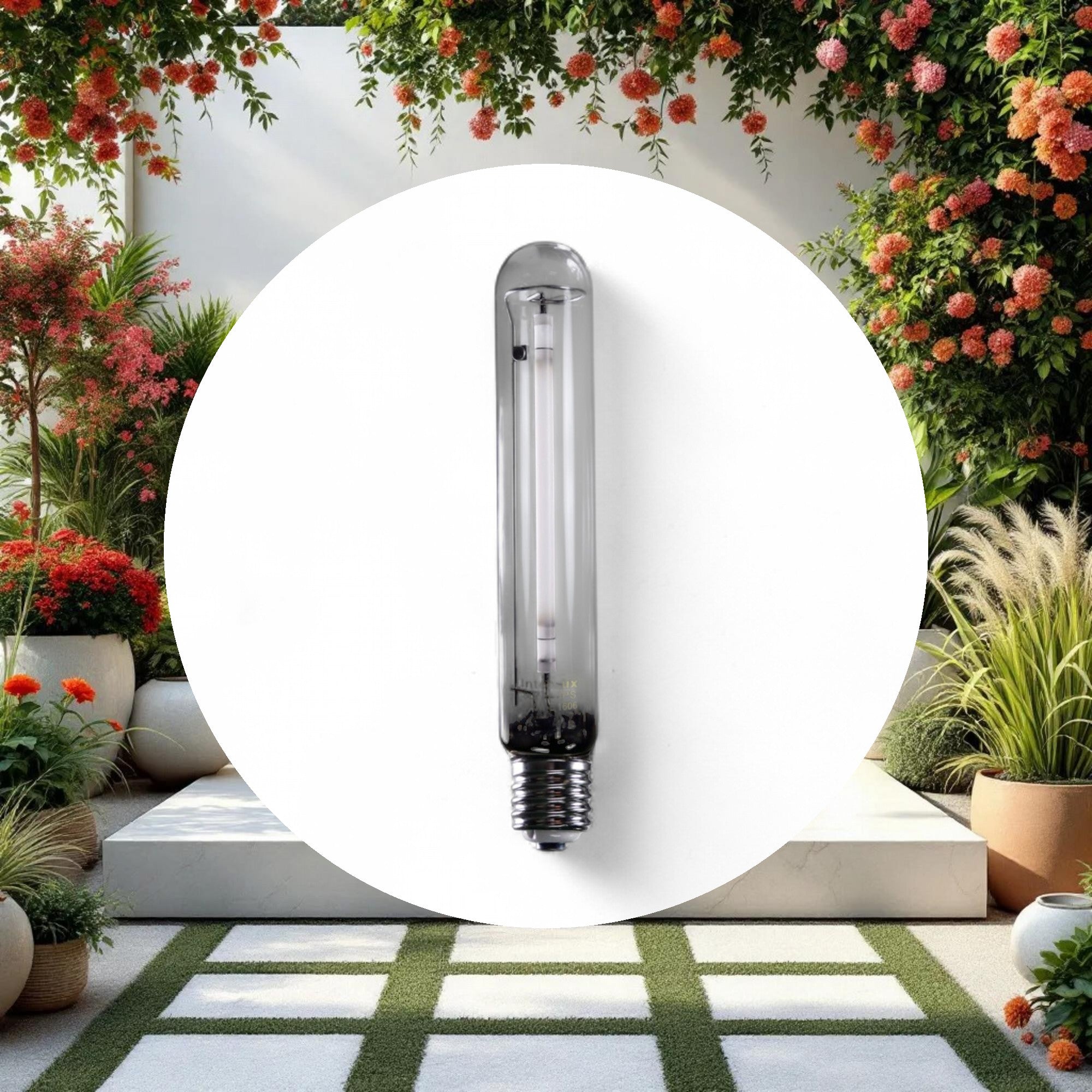 InterLux 600W EXTREME HPS Lamp - Image 2
