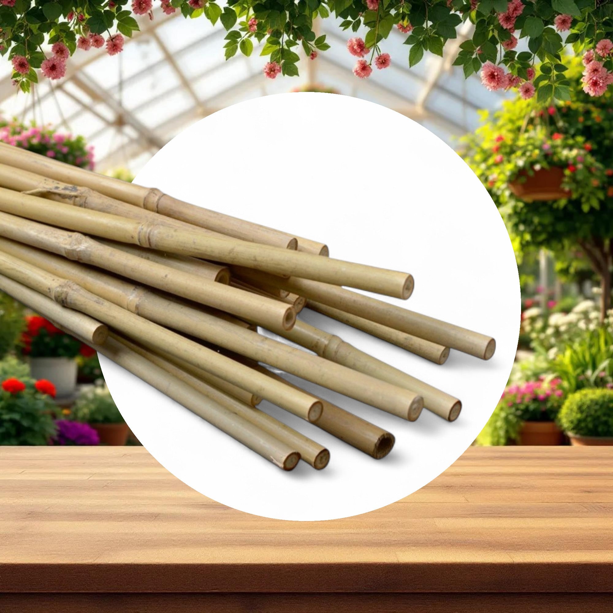 Natural Bamboo Stakes 5ft 10-12mm (250pcs/Bale) - Image 3