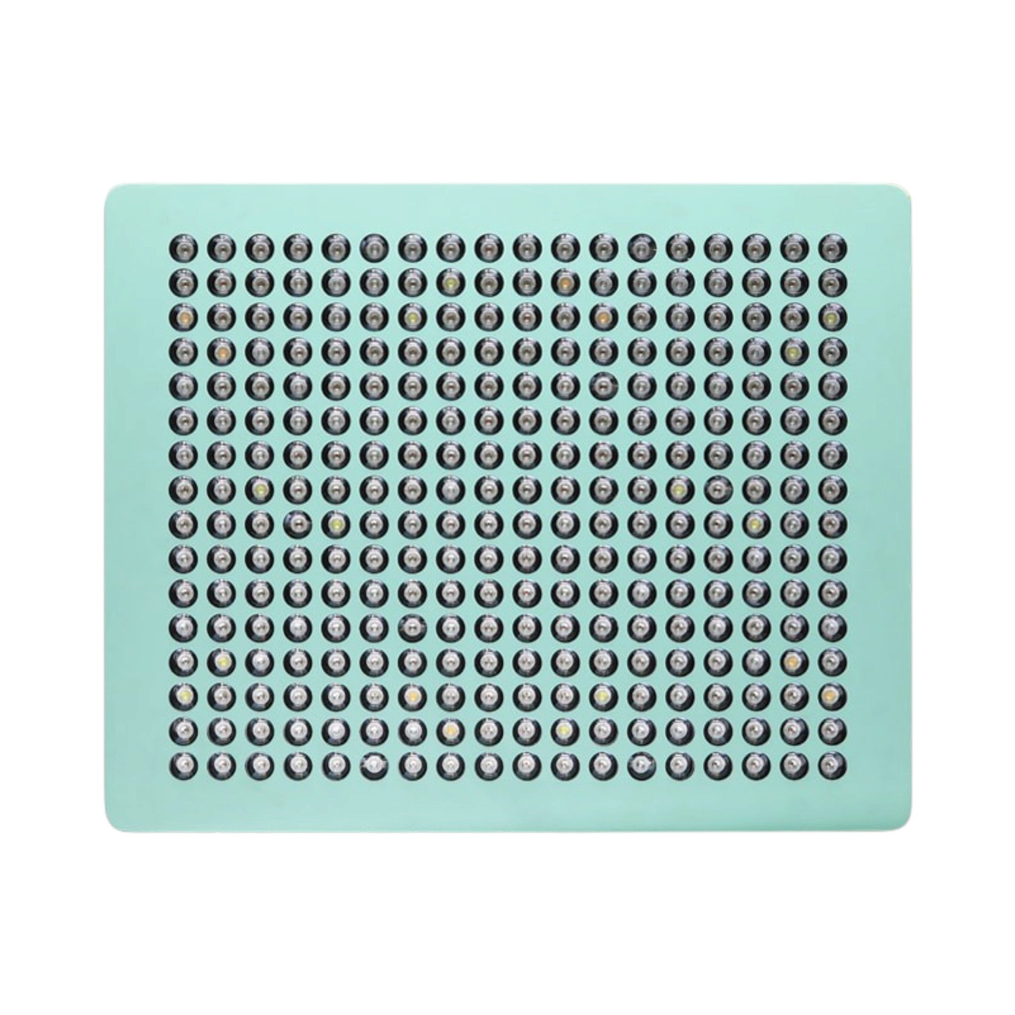 MINT LED 1000 LED Panel (620 Watt) 22500lm