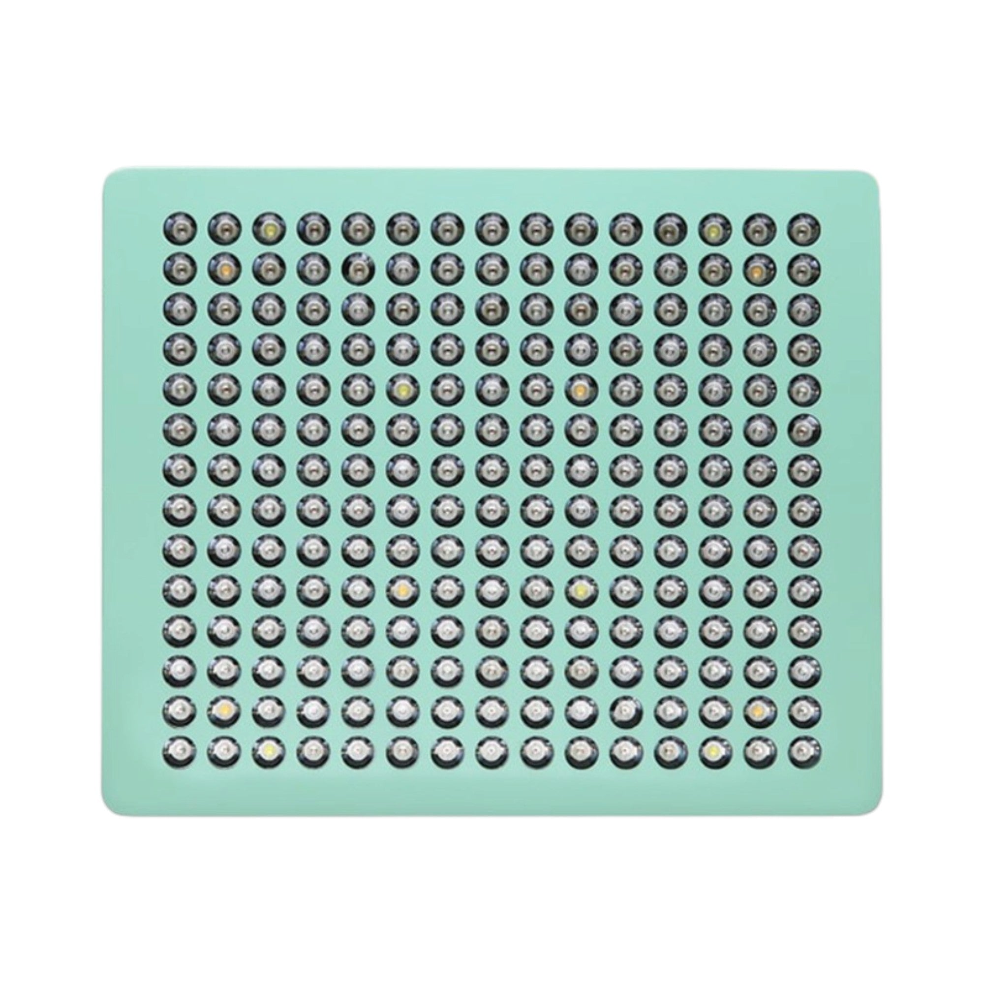 MINT LED 600 LED Panel (420 Watt) 17500lm