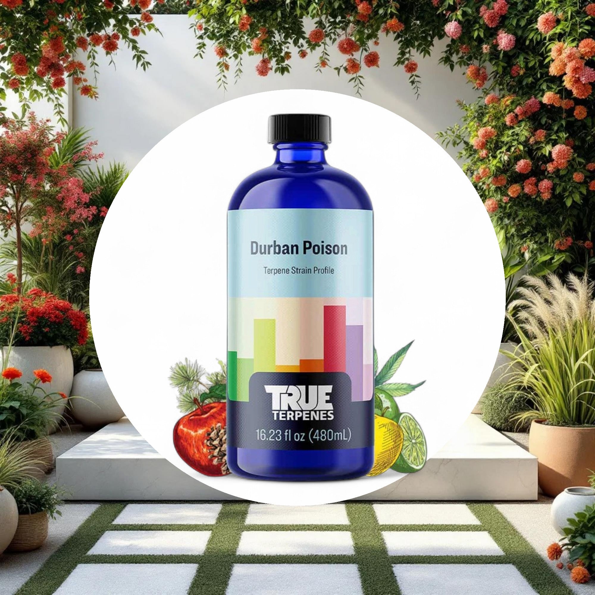 True Terpenes Durban Poison Profile 4oz - Image 2