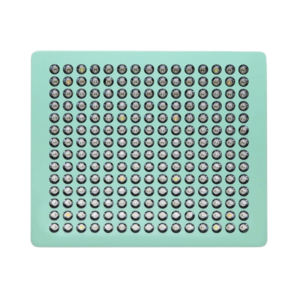 MINT LED 600 LED Panel (420 Watt) 17500lm