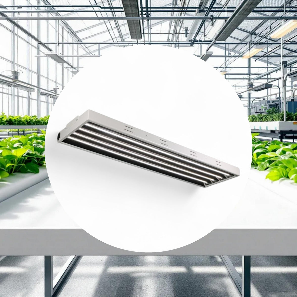 Lightech T5 LED Fixture 4ft 8 Bulb 5500k 120v - Image 2