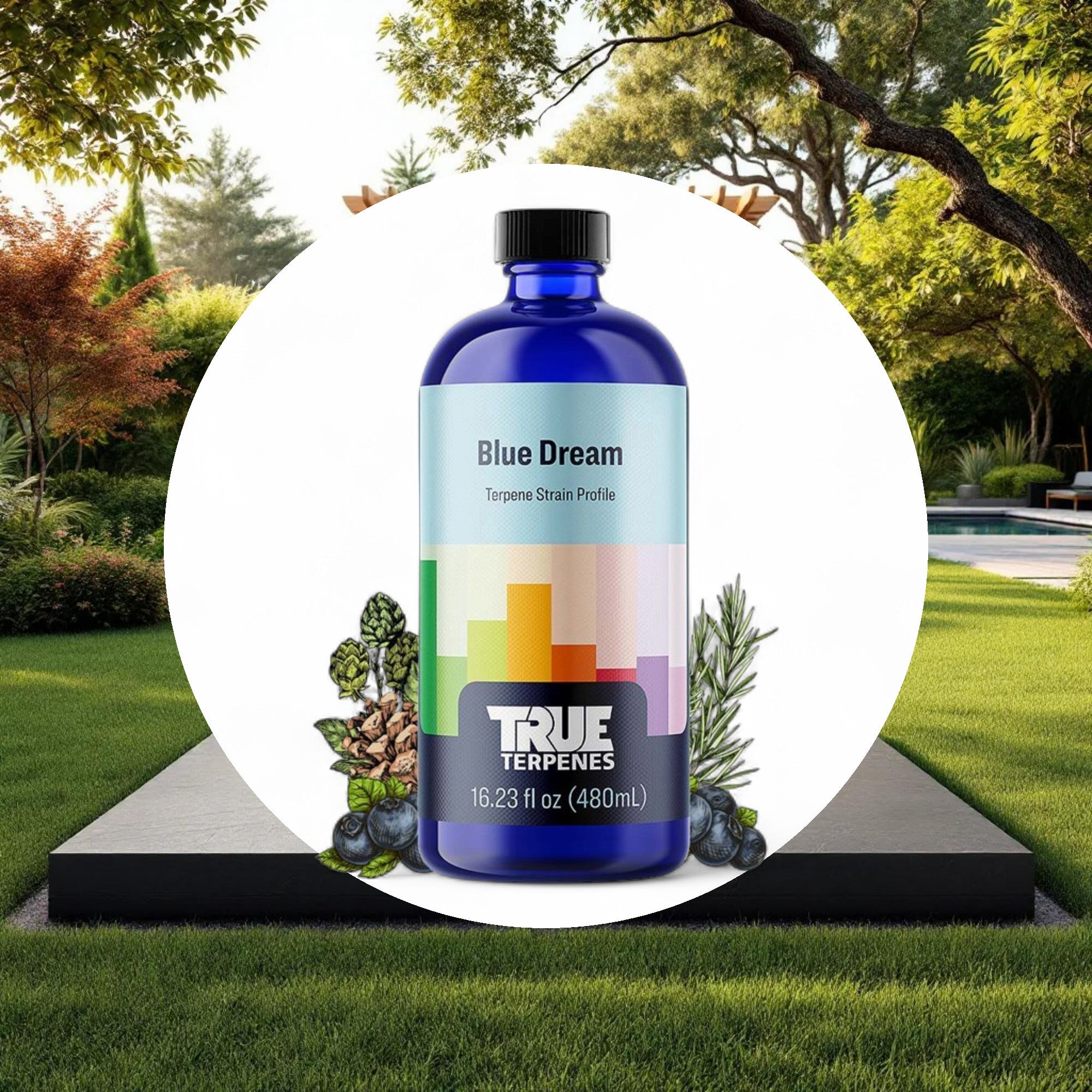 True Terpenes Blue Dream Profile 4oz - Image 4