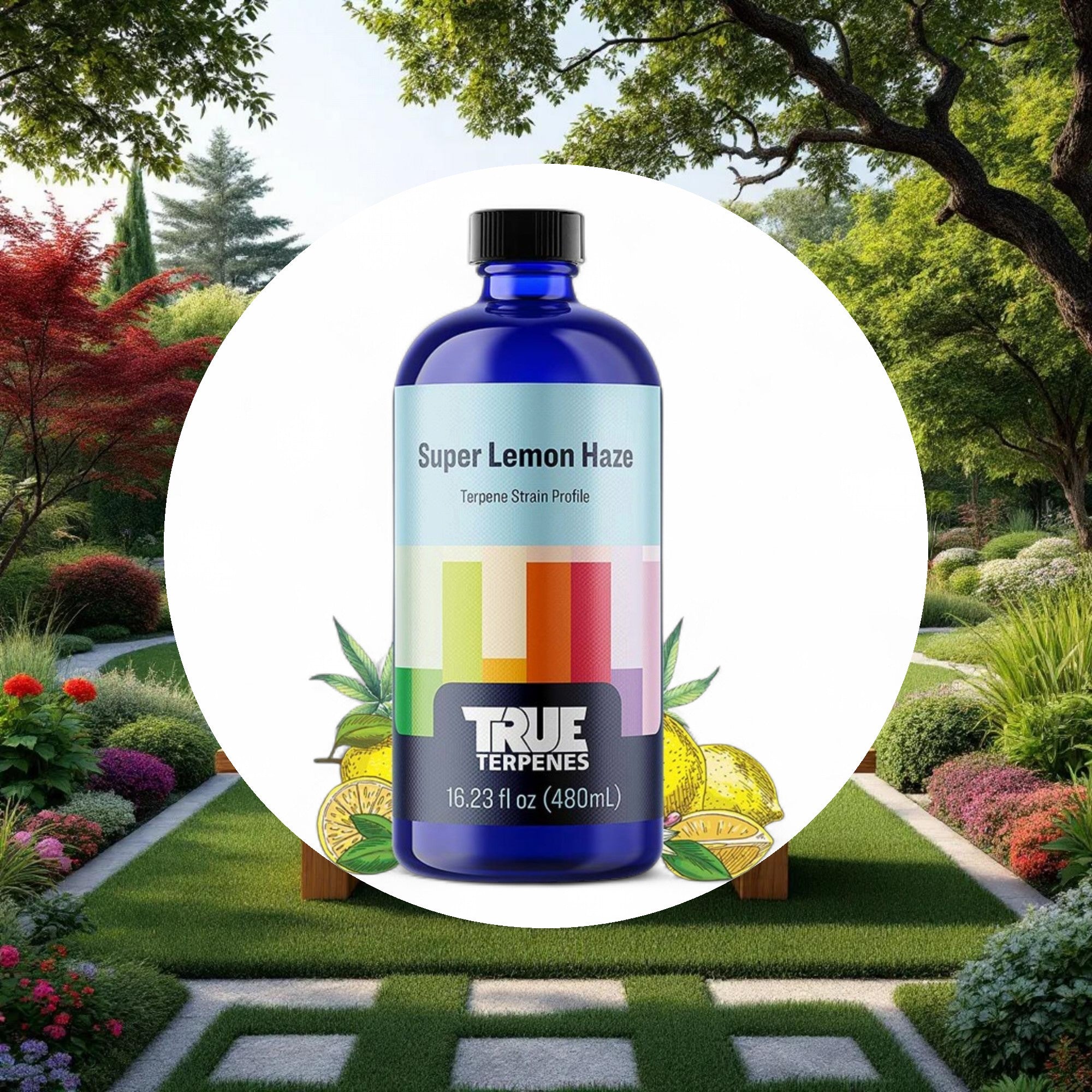 True Terpenes Super Lemon Haze Profile 4oz - Image 4