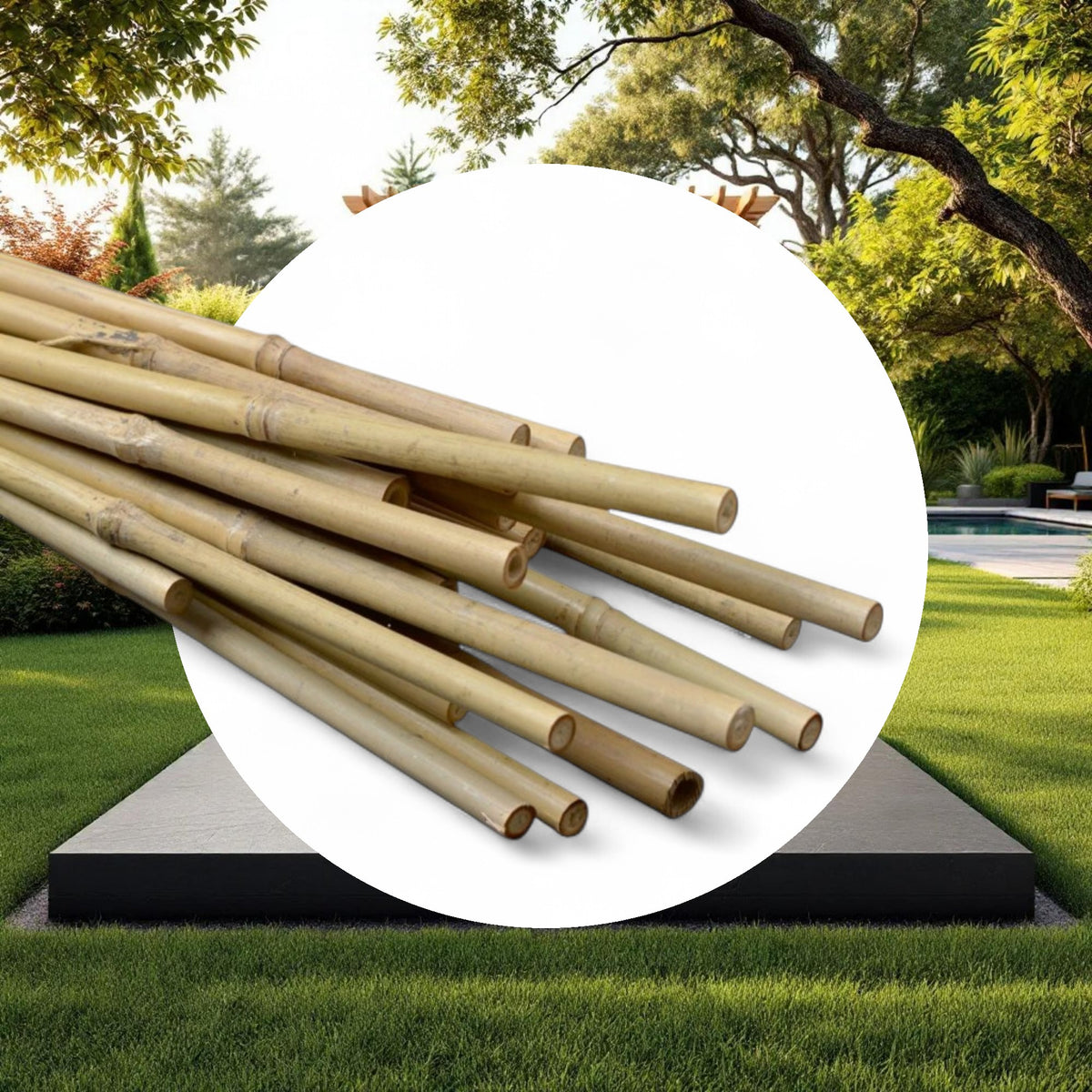 Natural Bamboo Stakes 6ft 12-14mm (100pcs/Bale) - Image 4