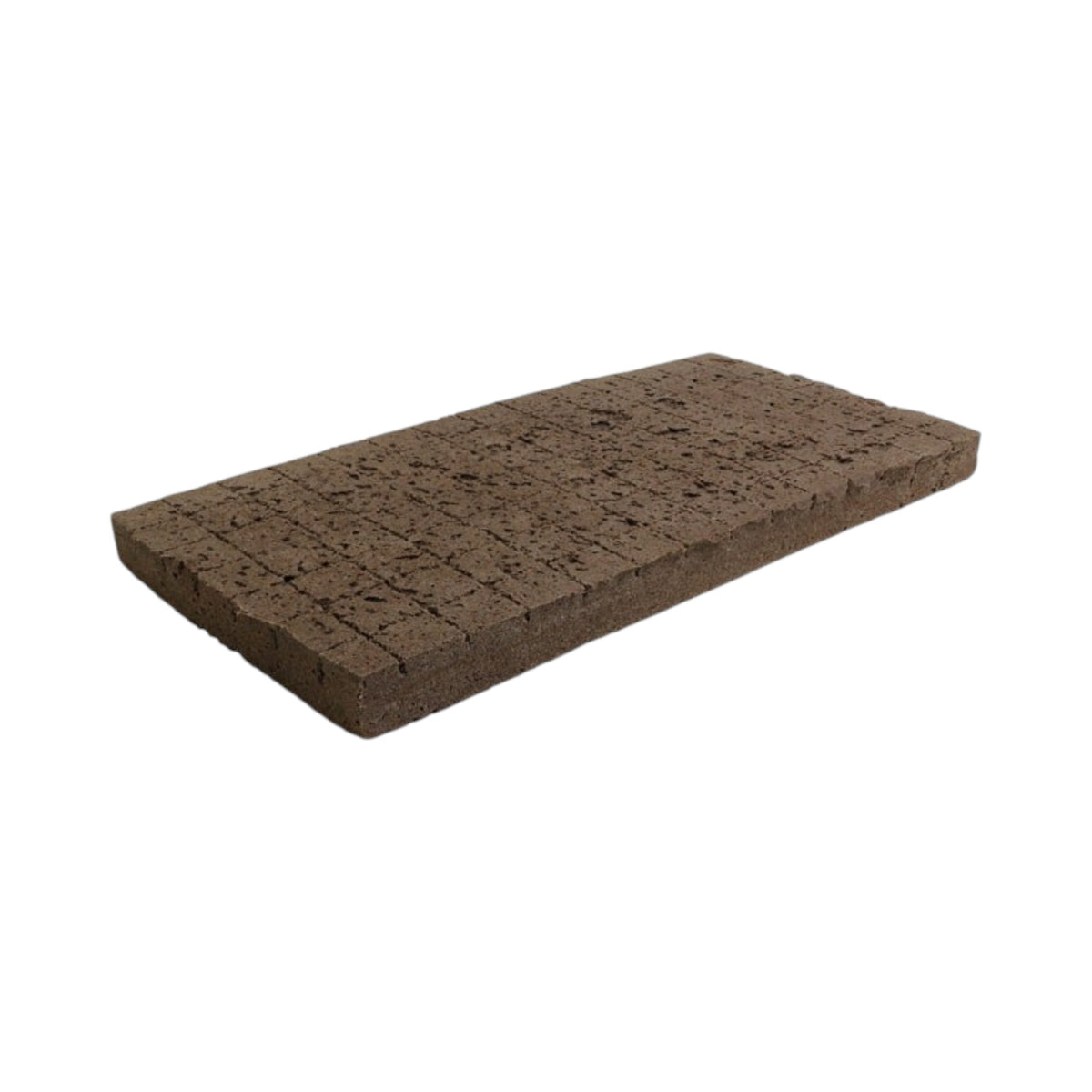 DaPlug Sponge 98 Cell Break Away Cubes 10" x 20" (16pcs/Case)