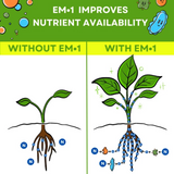 EM-1® Microbial Inoculant, Concentrate