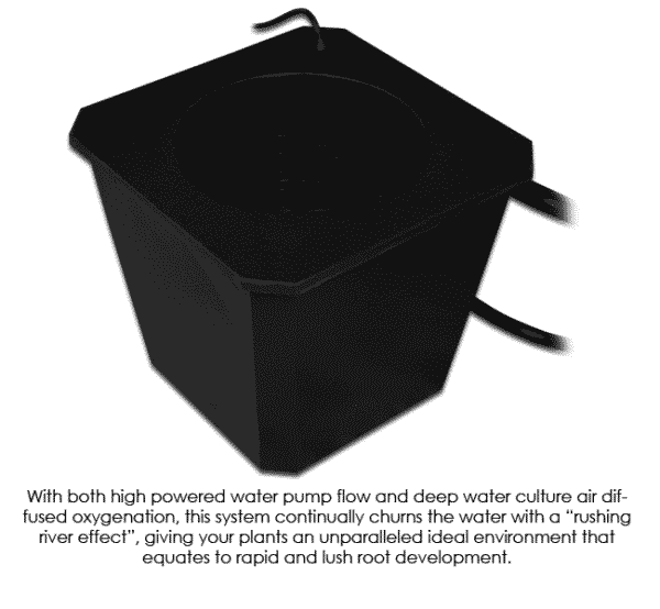BubbleFlow Bucket 12 - BubbleFlow Bucket 12 Site System