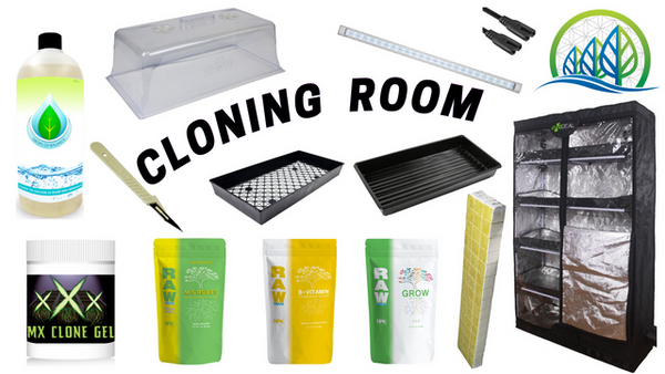 COMPLETE CLONING ROOM (ROCK WOOL) – Perfect Gardens