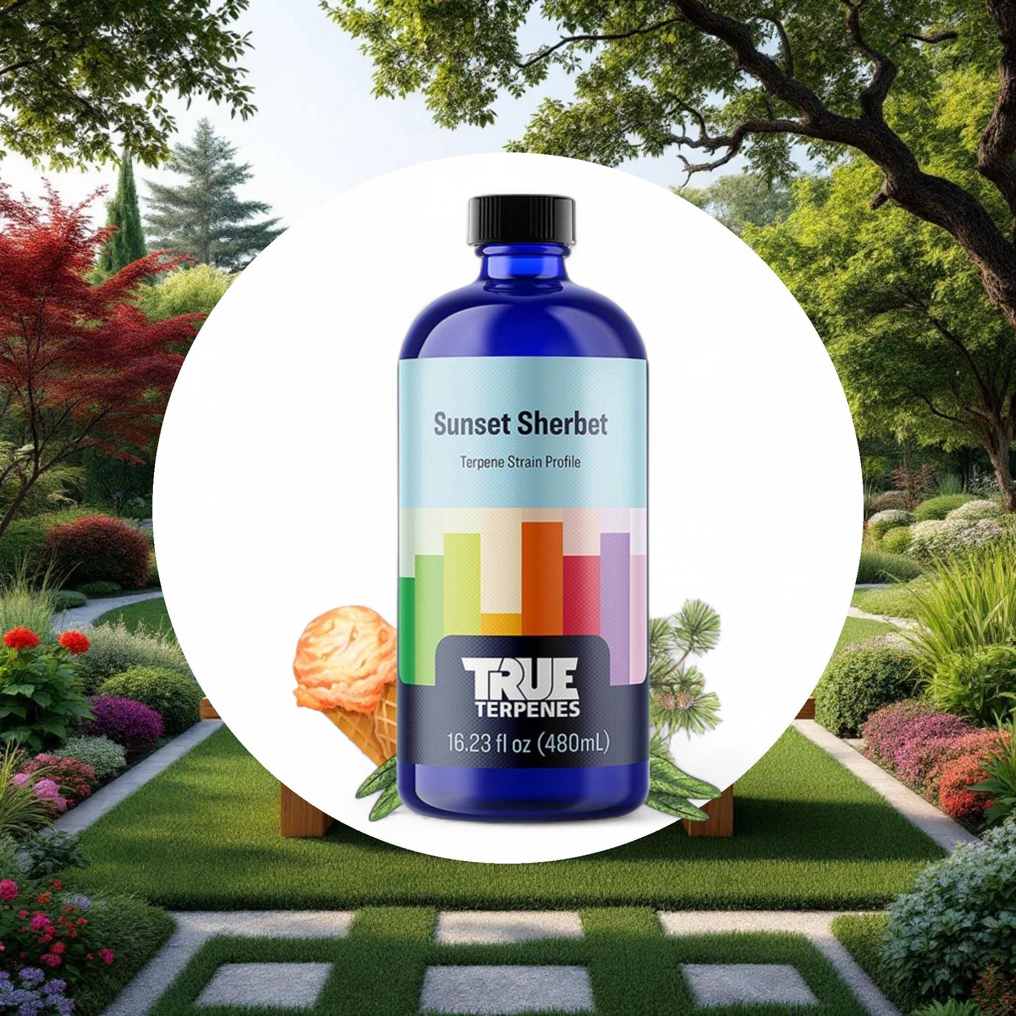 True Terpenes Sunset Sherbet Profile 4oz - Image 4
