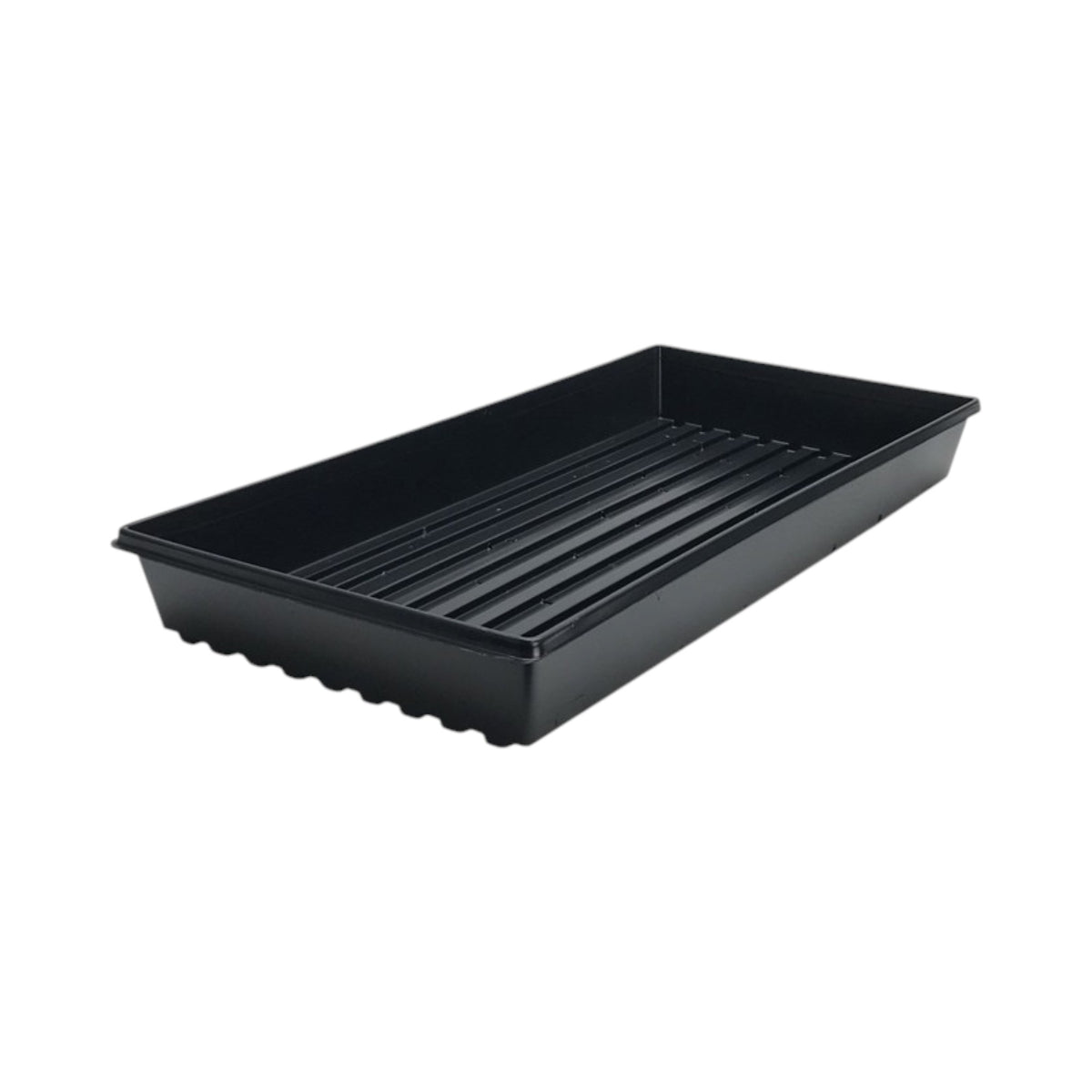 Standard Propagation Tray w/ Drain Holes (10in x 20in)