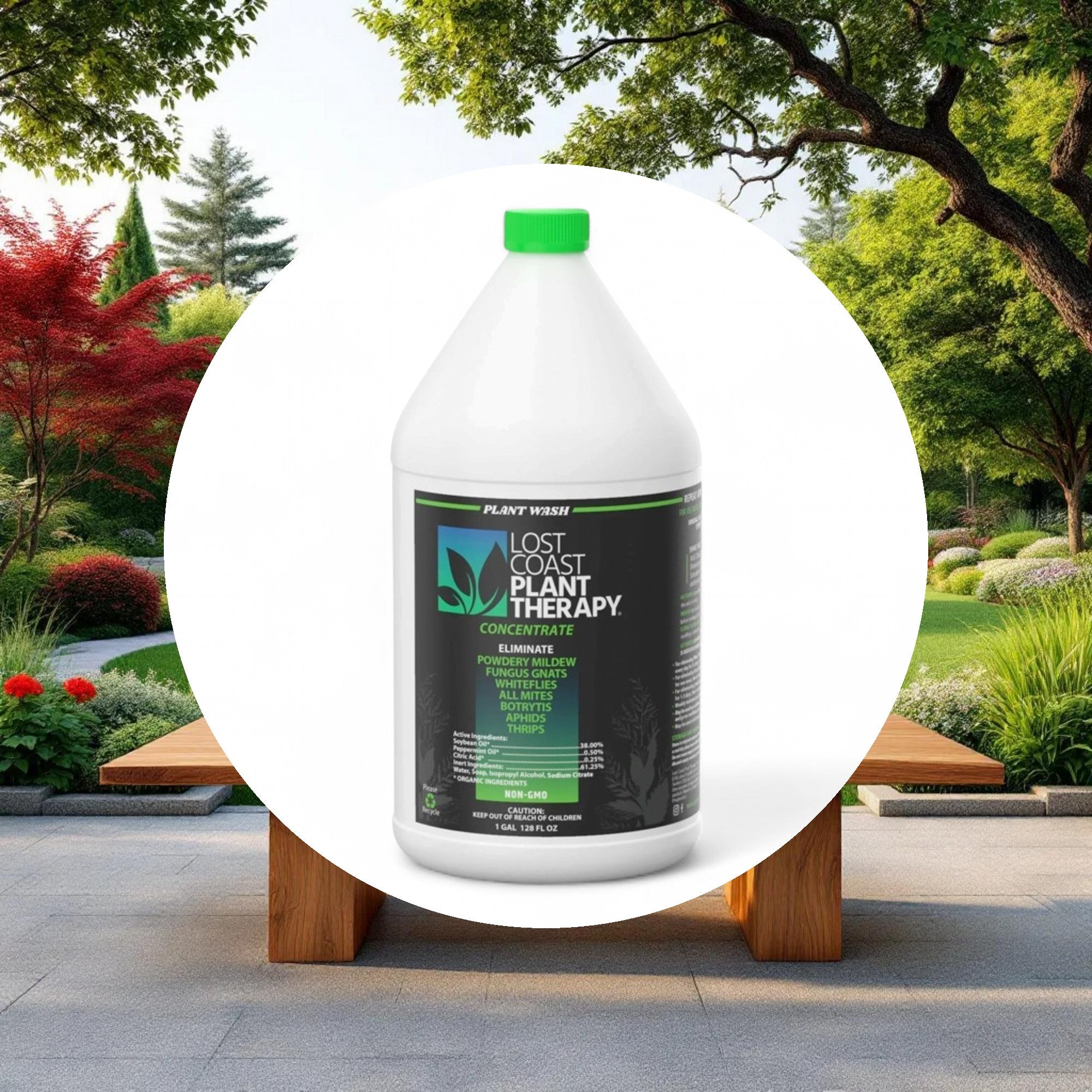 Lost Coast Plant Therapy Plant Therapy 1 Gallon - Image 4