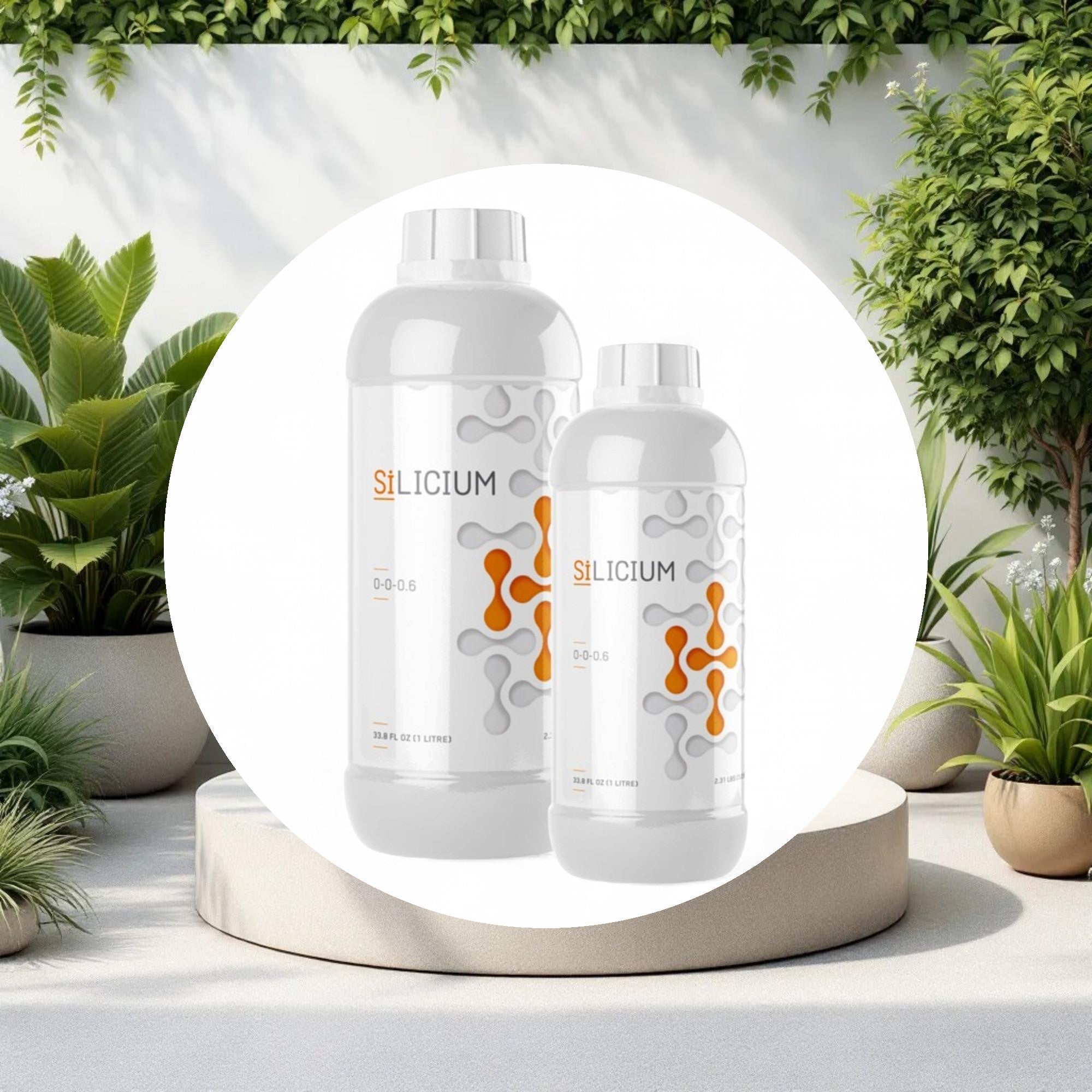 Silicium 500 ML - Image 2