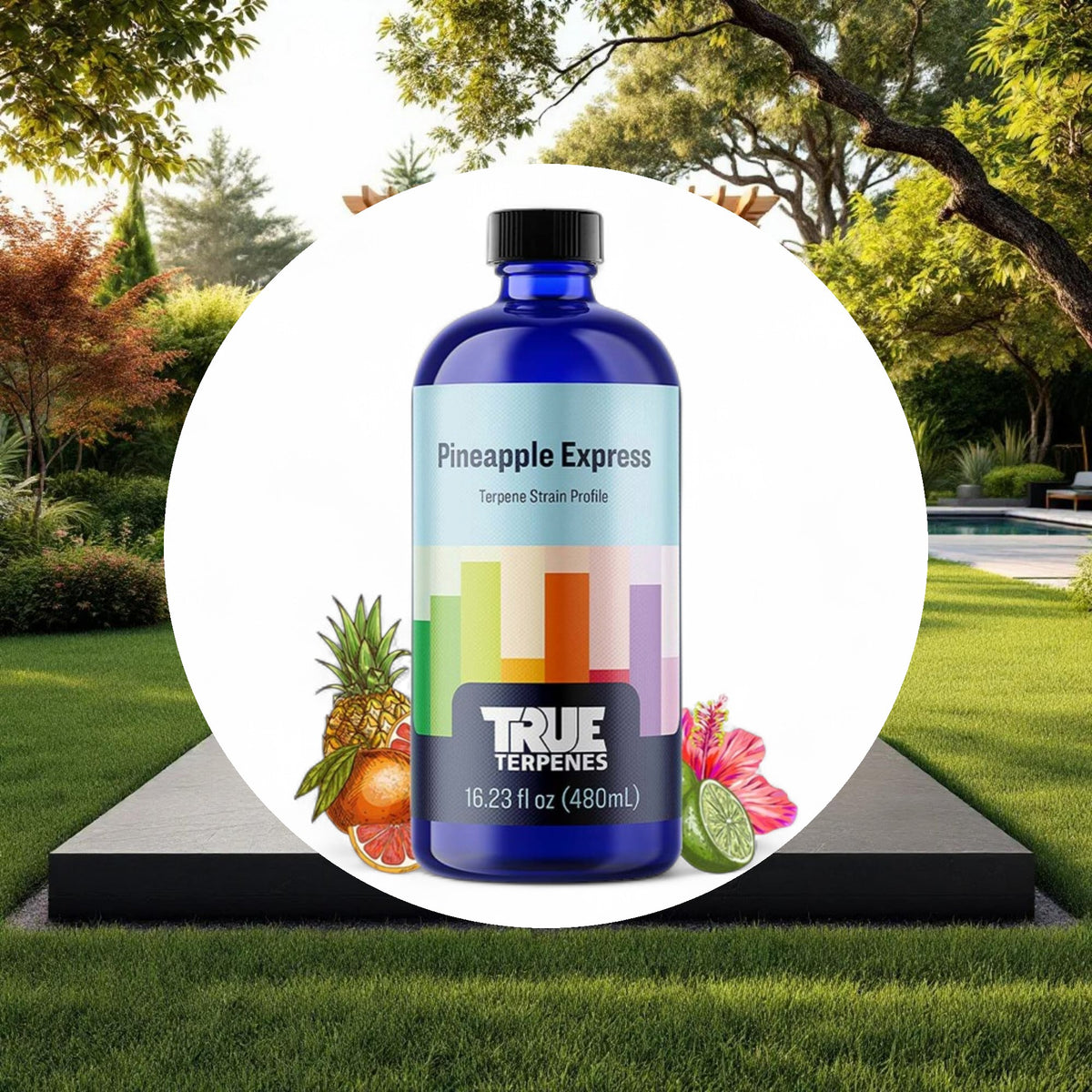 True Terpenes Pineapple Express Profile 4oz - Image 4