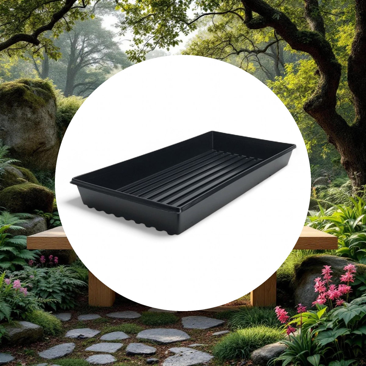 Standard Propagation Tray w/o Drain Holes (10in x 20in) - Image 5