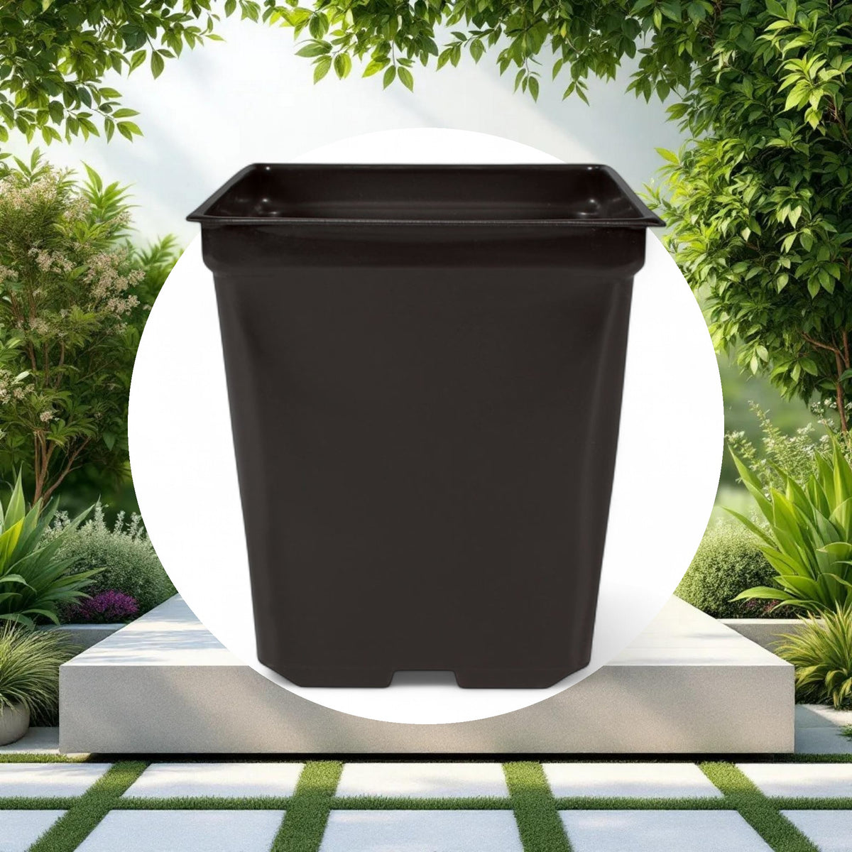 5'' x 5'' x 4.5'' Square 1.25qt Square Pot - Image 3