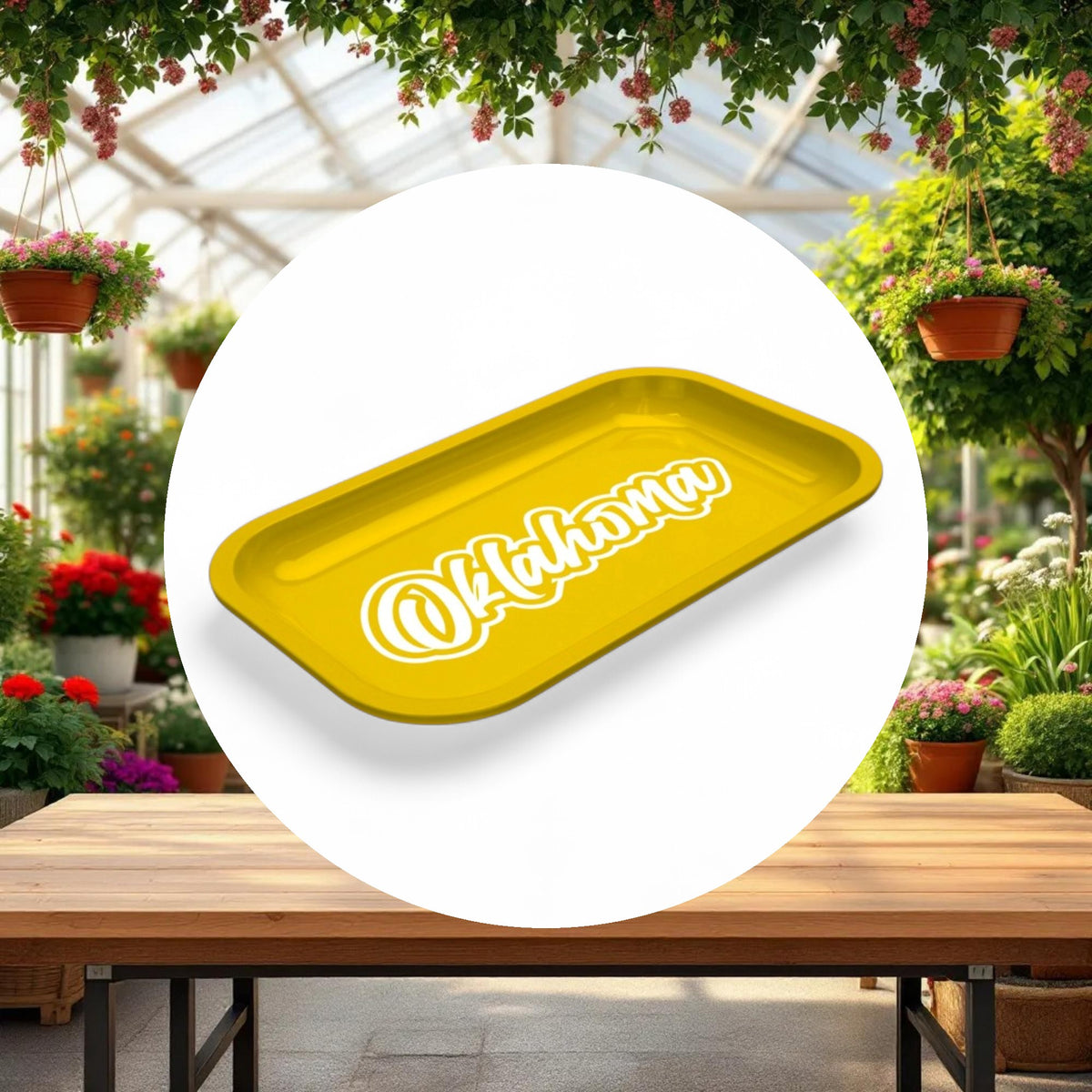 Med Dope Trays x Oklahoma -  Yellow background White logo - Image 3