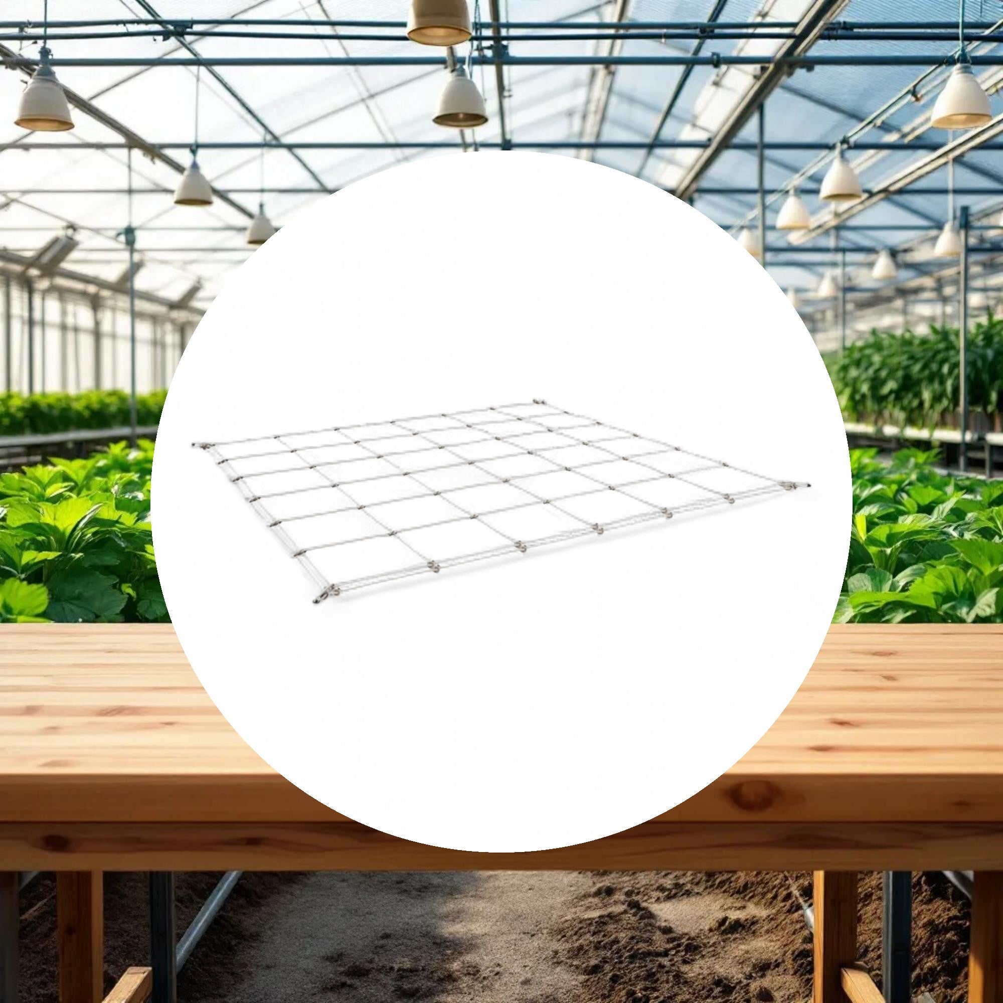 GROW1 Grow Tent Flexible Trellis Netting 3ft x 3ft 4in+6in Holes (2 Pack) - Image 2