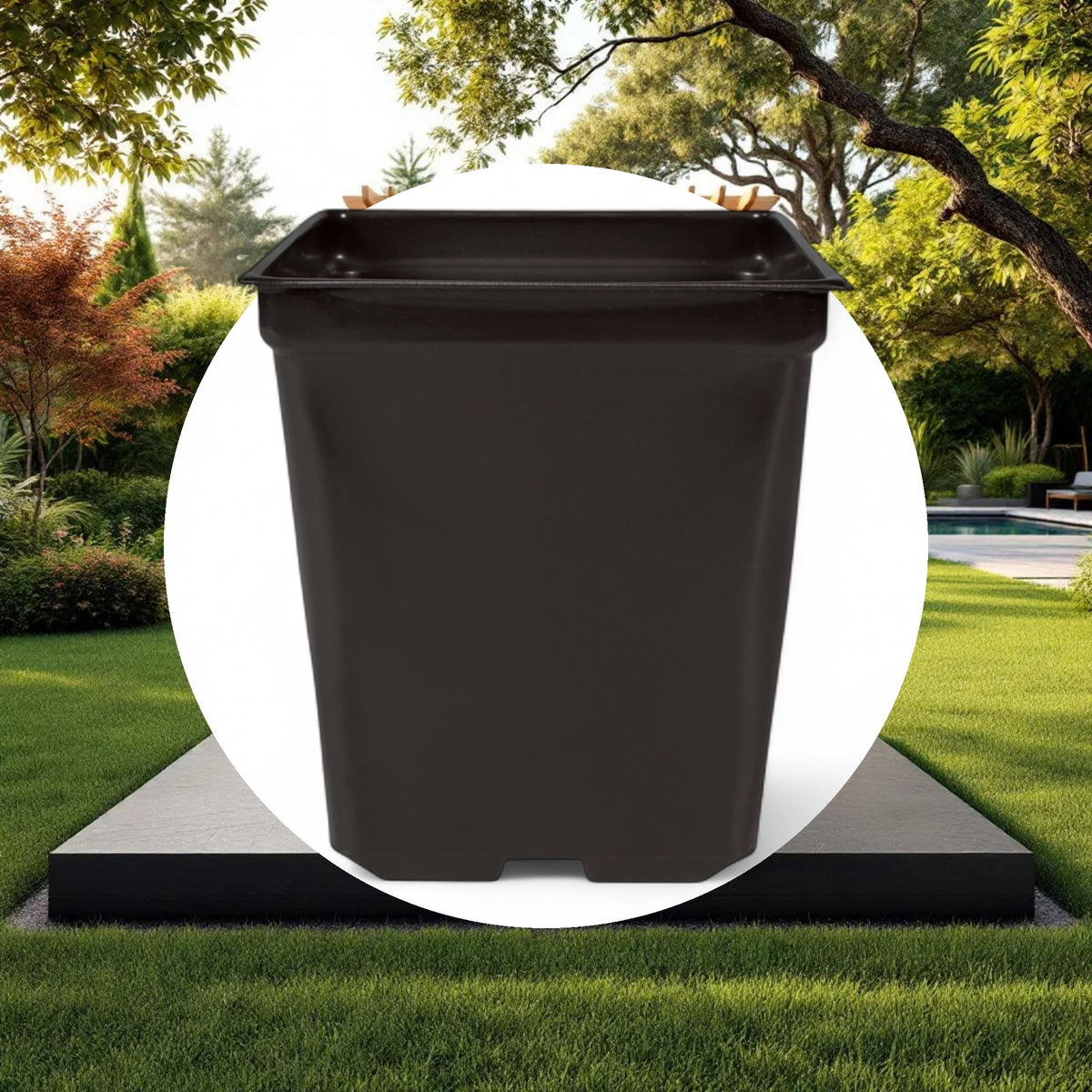 5'' x 5'' x 4.5'' Square 1.25qt Square Pot - Image 5