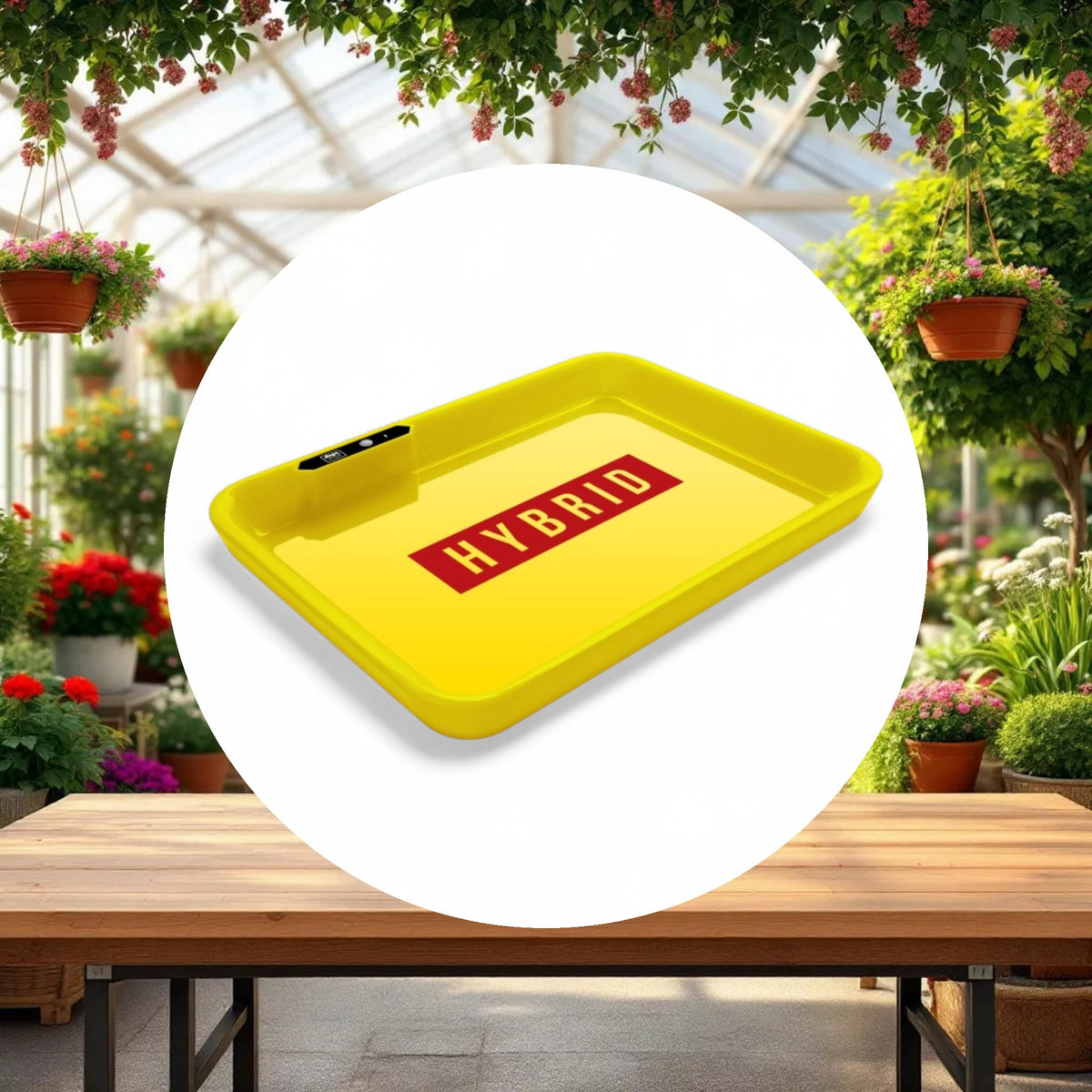 Dope Trays x Hybrid - yellow background red logo - Image 3