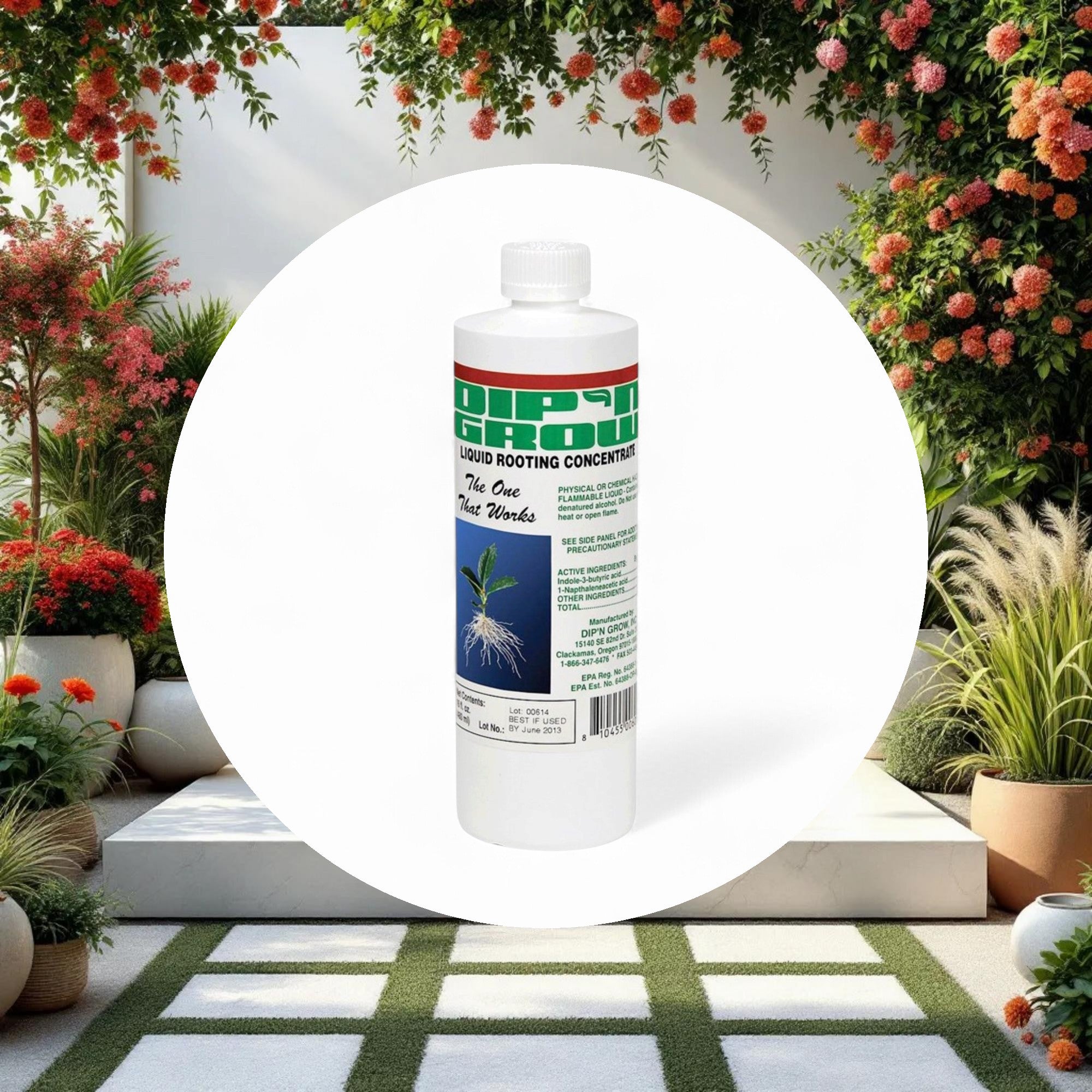 Dip 'N' Grow Liquid Rooting Concentrate 16 fl oz - Image 2