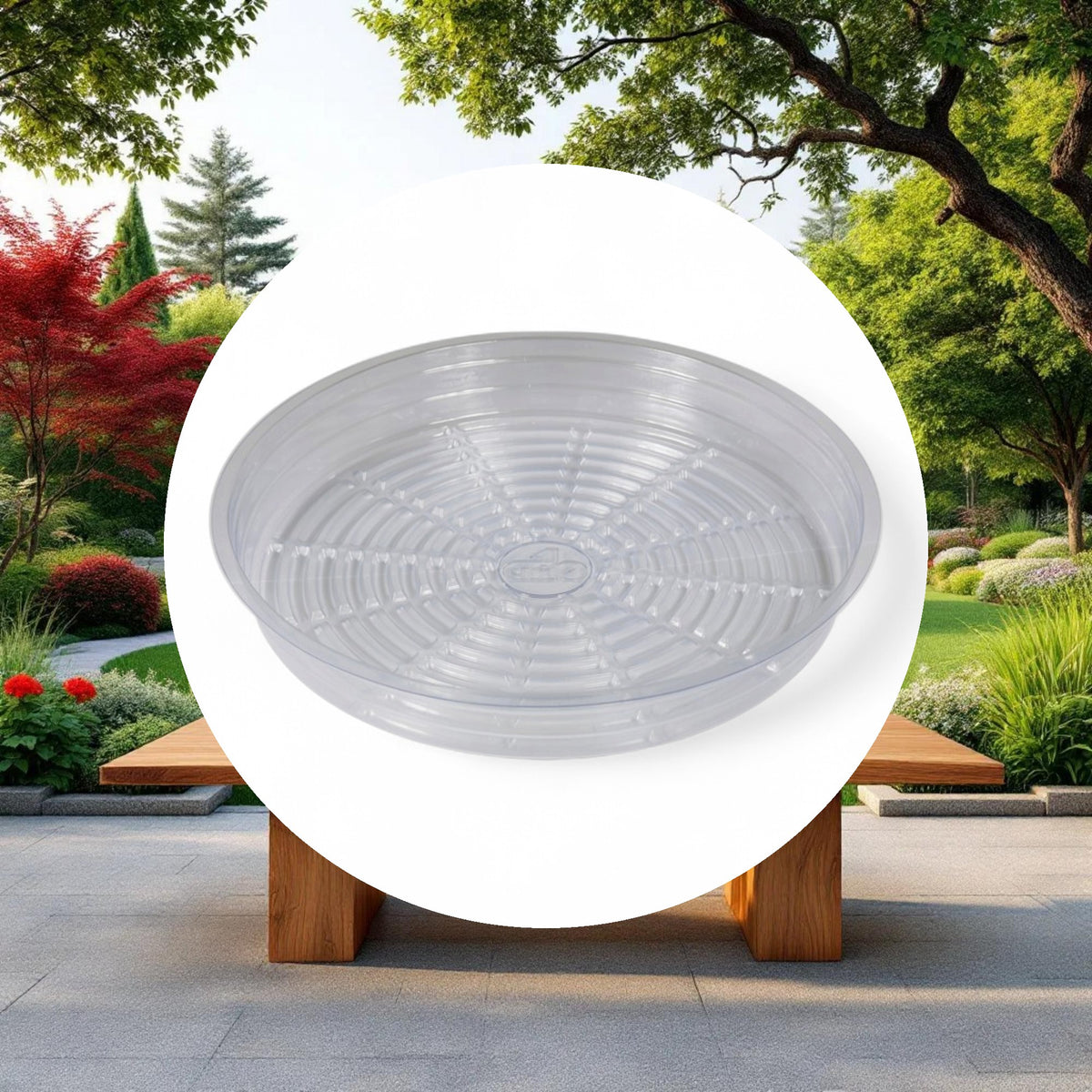 Grow1 6'' Clear Plastic Pot Saucer - Image 4