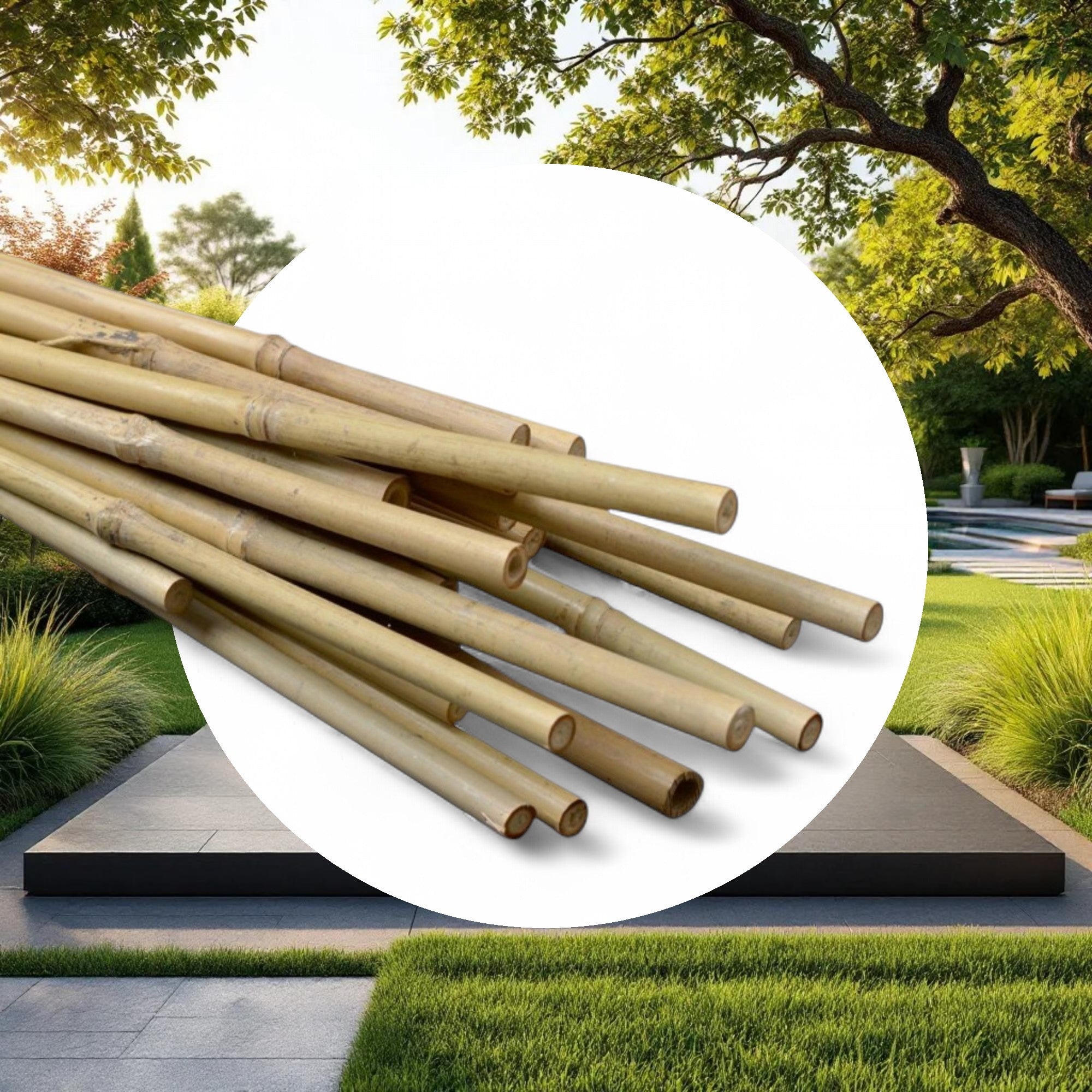 Natural Bamboo Stakes 5ft 10-12mm (250pcs/Bale) - Image 4