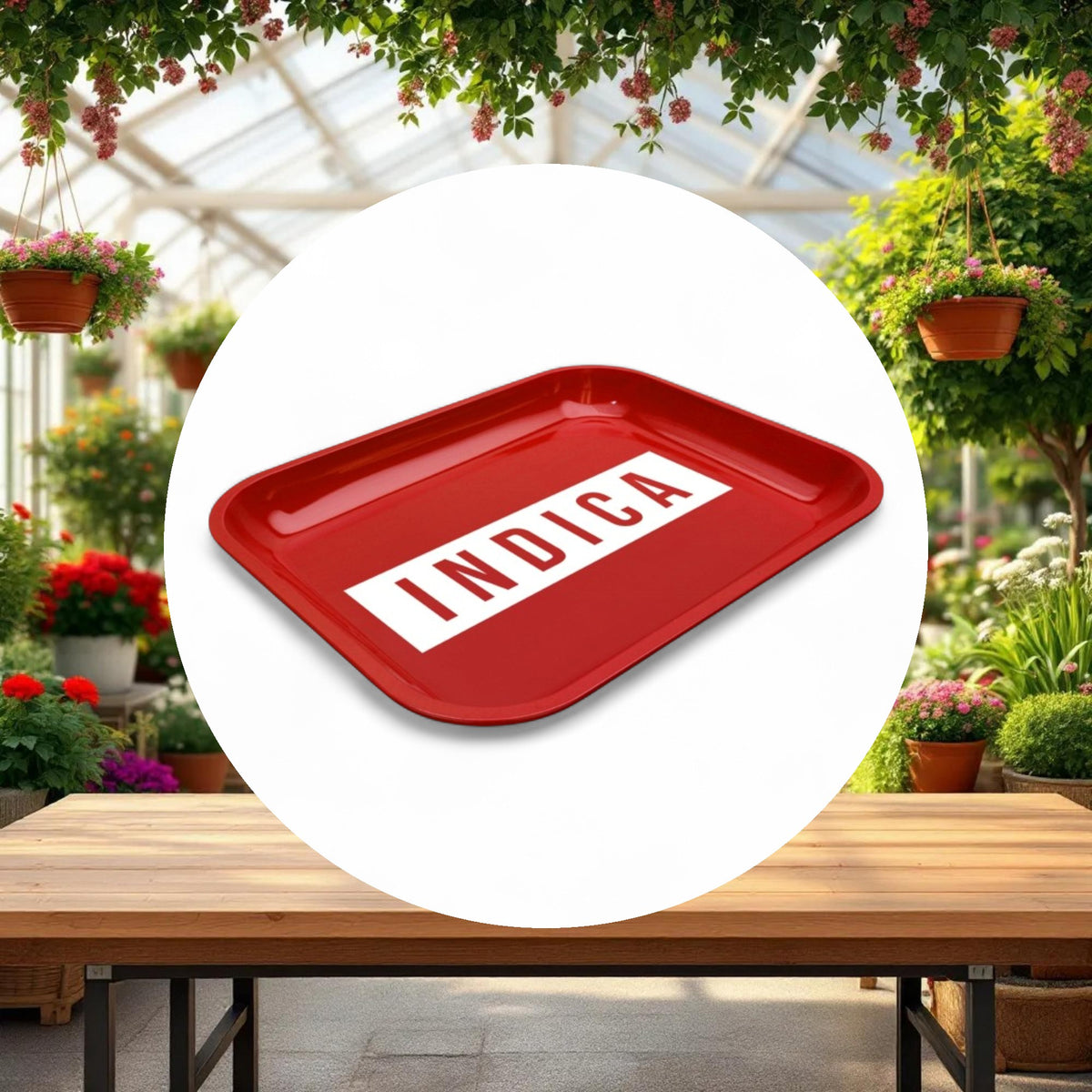 Large Dope Trays x Indica -  red background white logo - Image 3