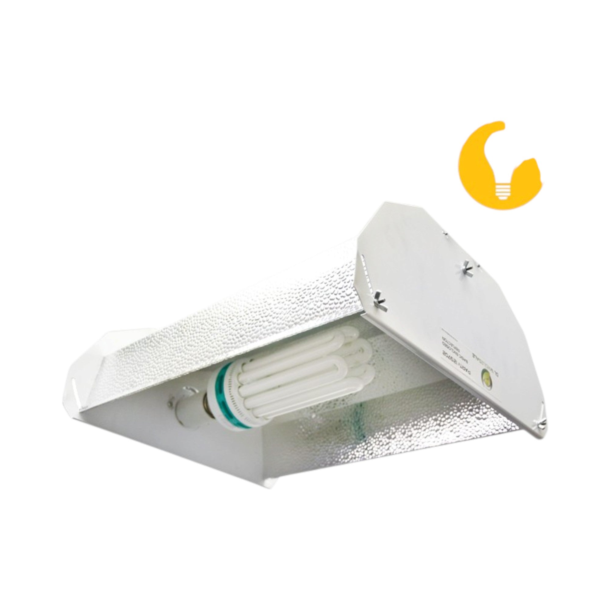 125W CFL Bulb & Reflector Package