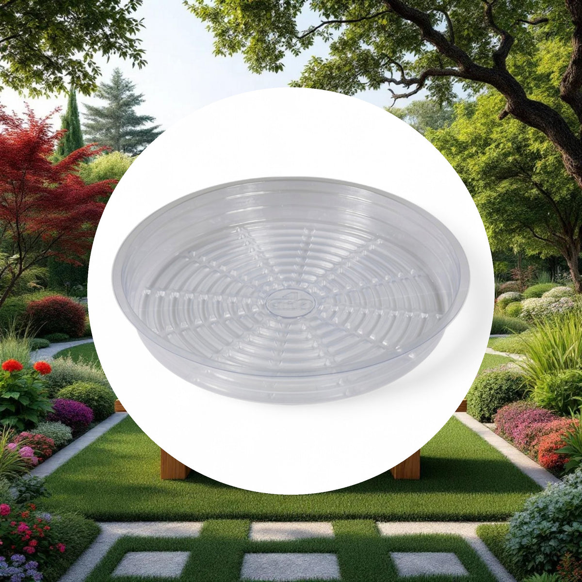 Grow1 10" Clear Plastic Pot Saucer - Image 4