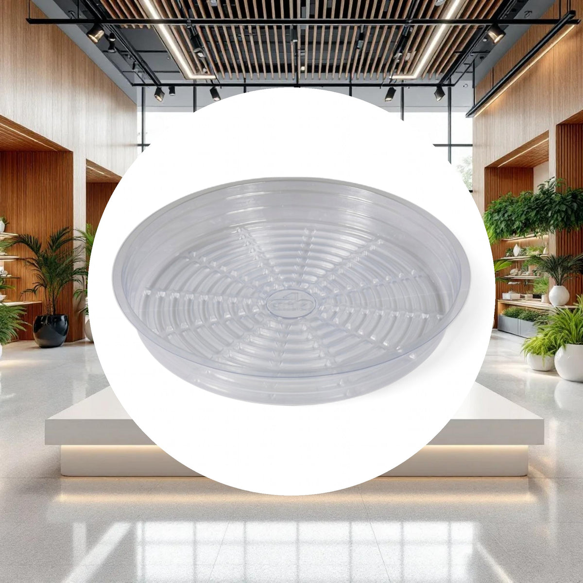 Grow1 12' Clear Plastic Pot Saucer - Image 3