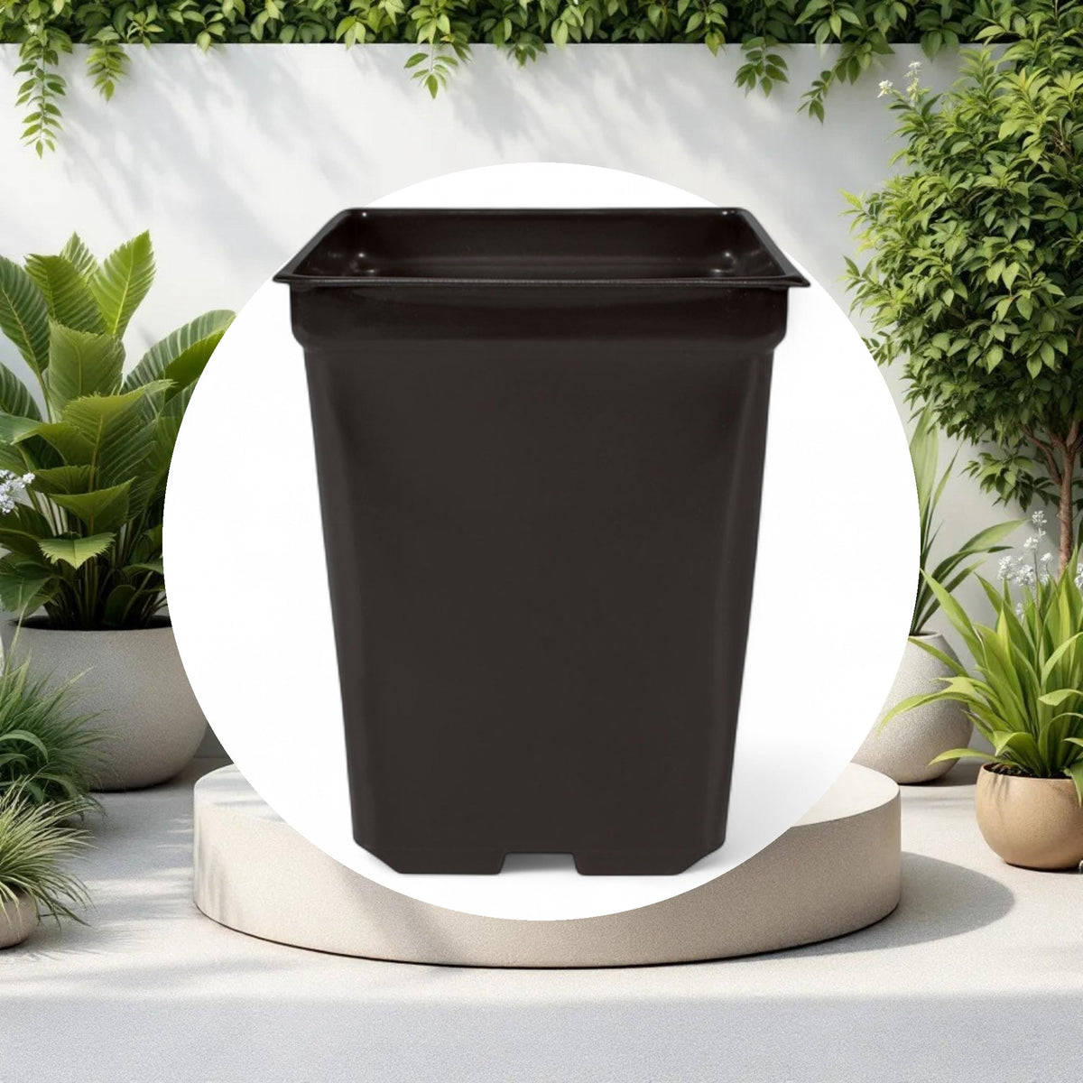 Square Pot 2qt 5.5in x 5.5in x 6in - Image 3