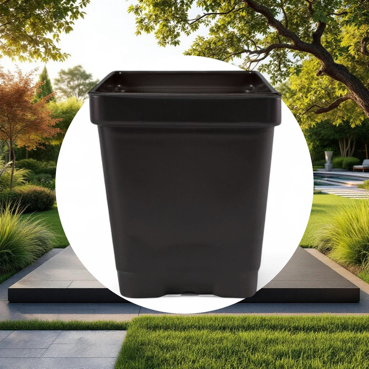 3.25'' x 3.25'' x 3.5'' 0.5qt Square Pot - Image 5