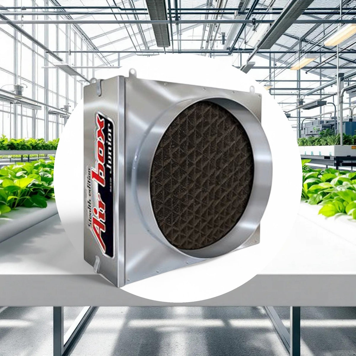Air Box Junior Exhaust Filter (COCO) - Image 2