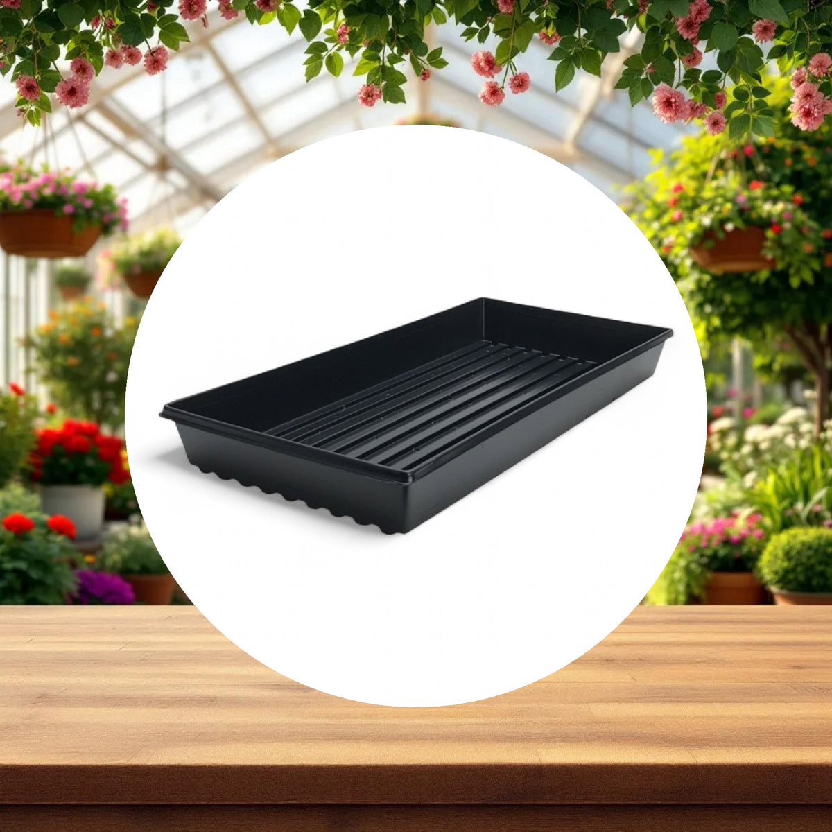 Standard Propagation Tray w/ Drain Holes (10in x 20in) - Image 3