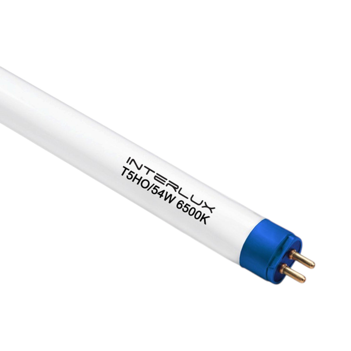 T5 Grow Bulb 2' (6500k)