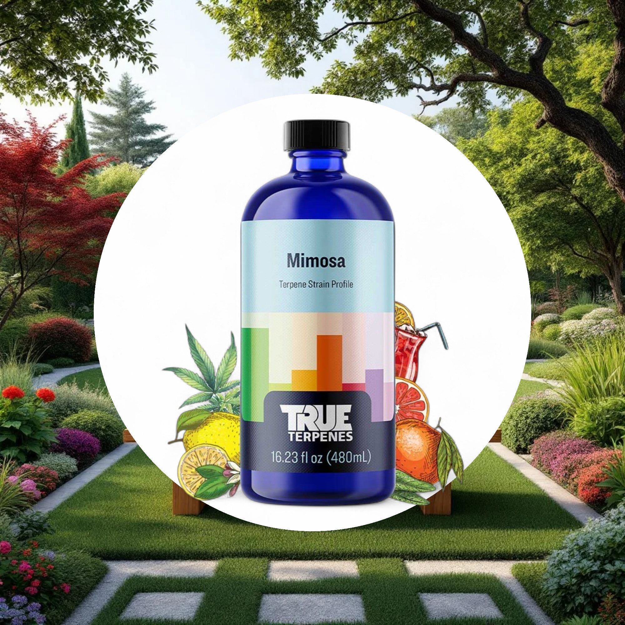 True Terpenes Mimosa Profile 4oz - Image 4