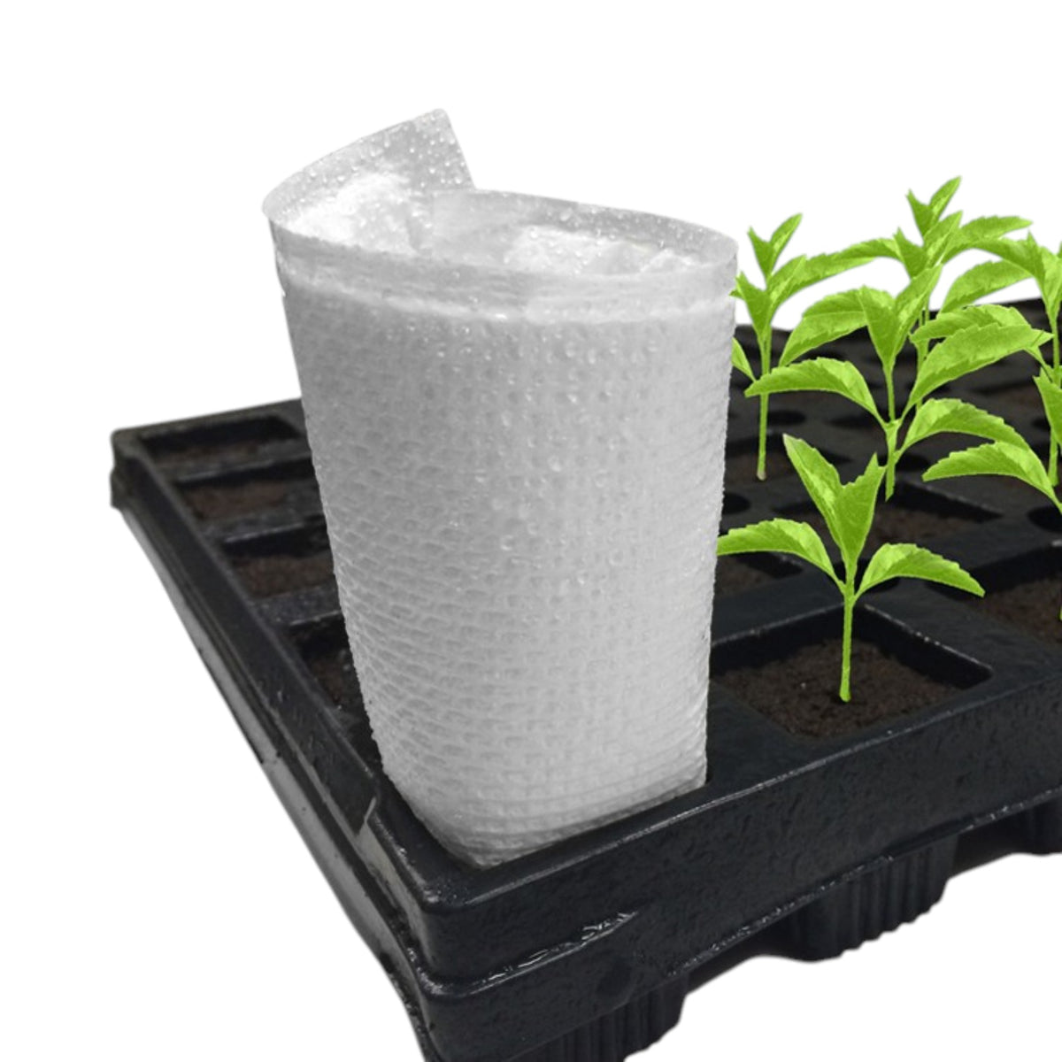 EZ CO2 Pads (10pcs/Pack)
