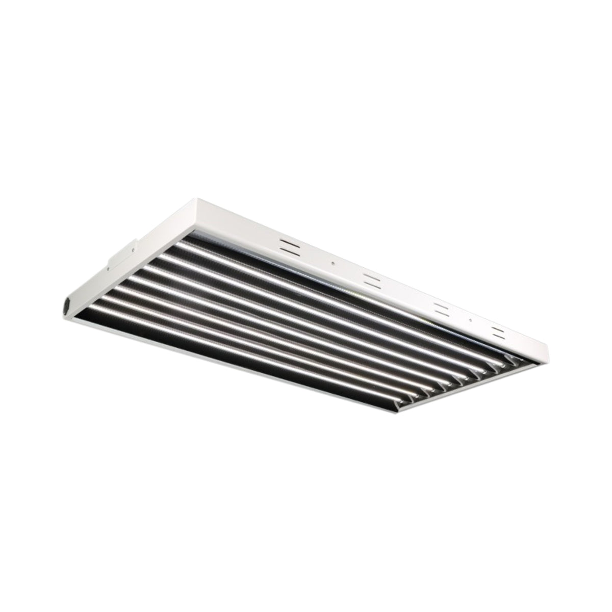 Lightech T5 LED Fixture 4ft 4 Bulb 5500k 120v